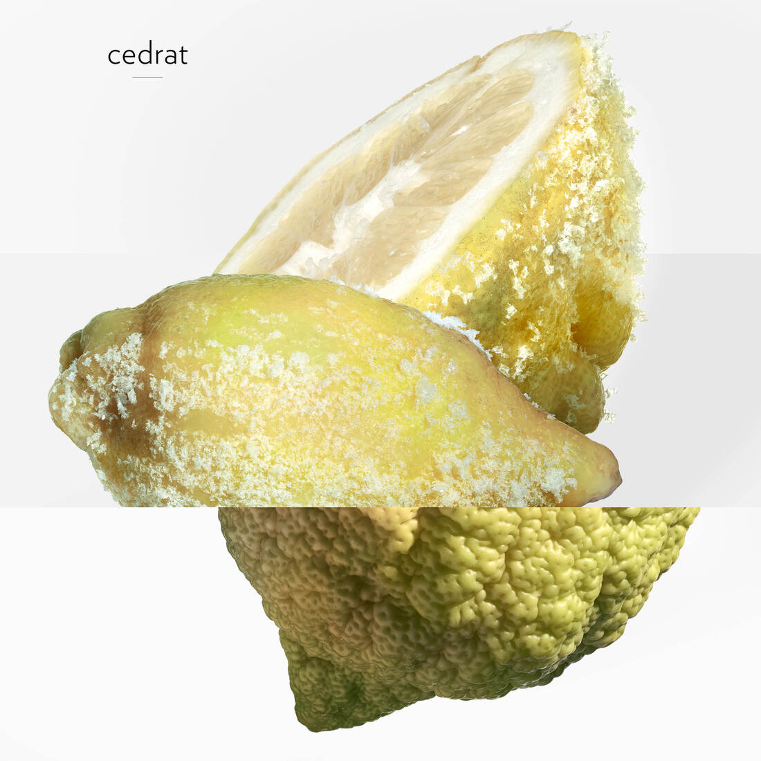 HERMÈS TERRE D'HERMÈS EAU GIVRÉE EAU DE PARFUM REFILL