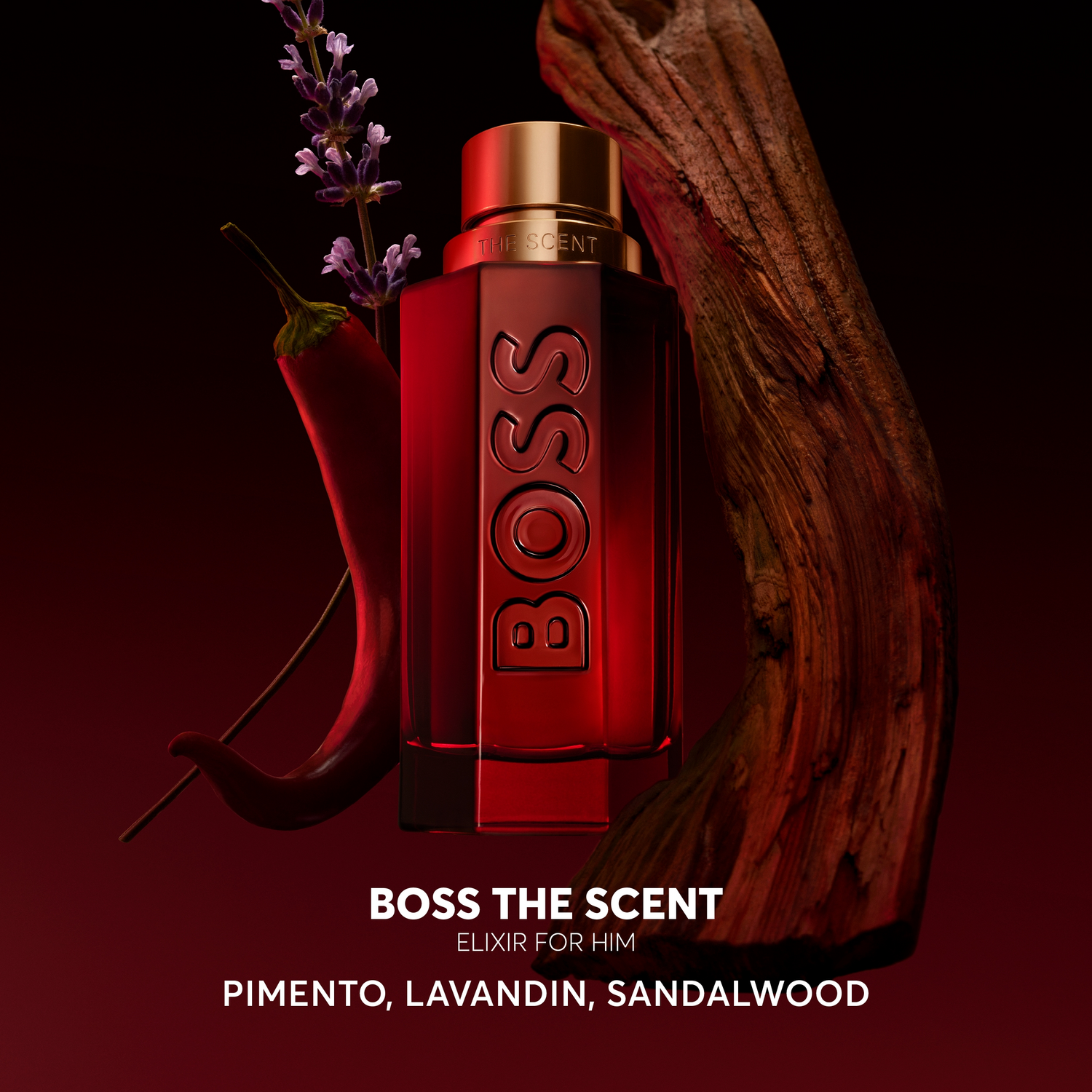 Boss The Scent Elixir for him Parfum Intense
