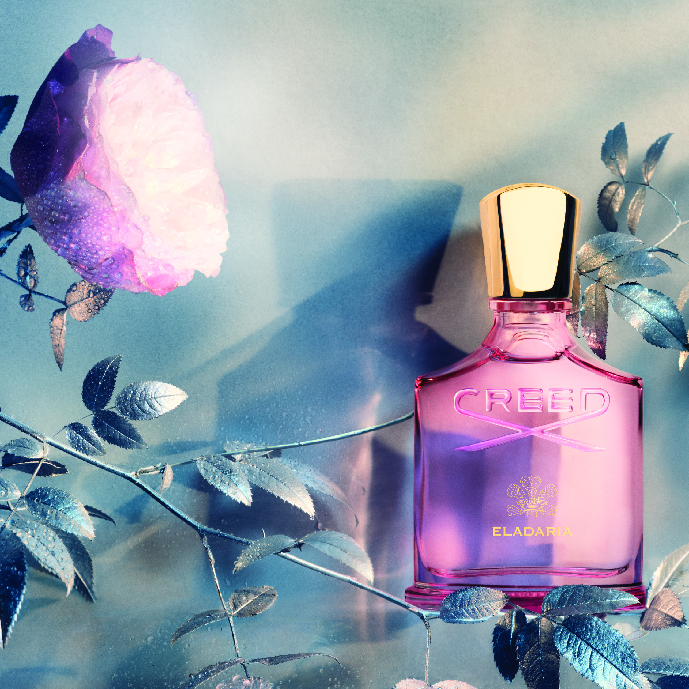 Creed Eladaria Eau de Parfum (EdP)