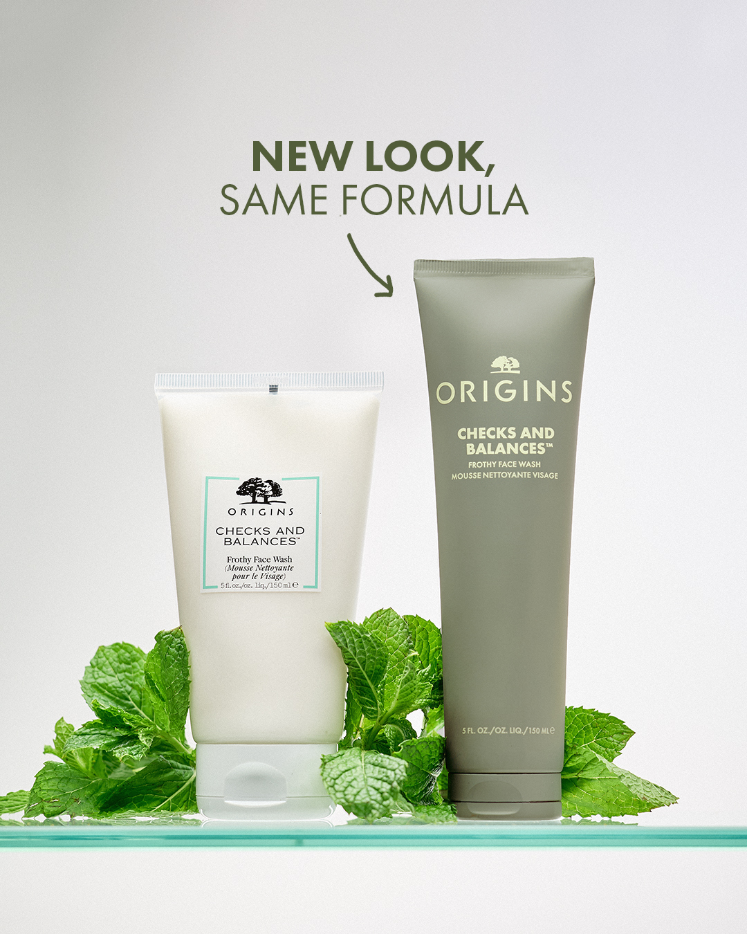 Origins Checks and Balances Frothy Face Wash