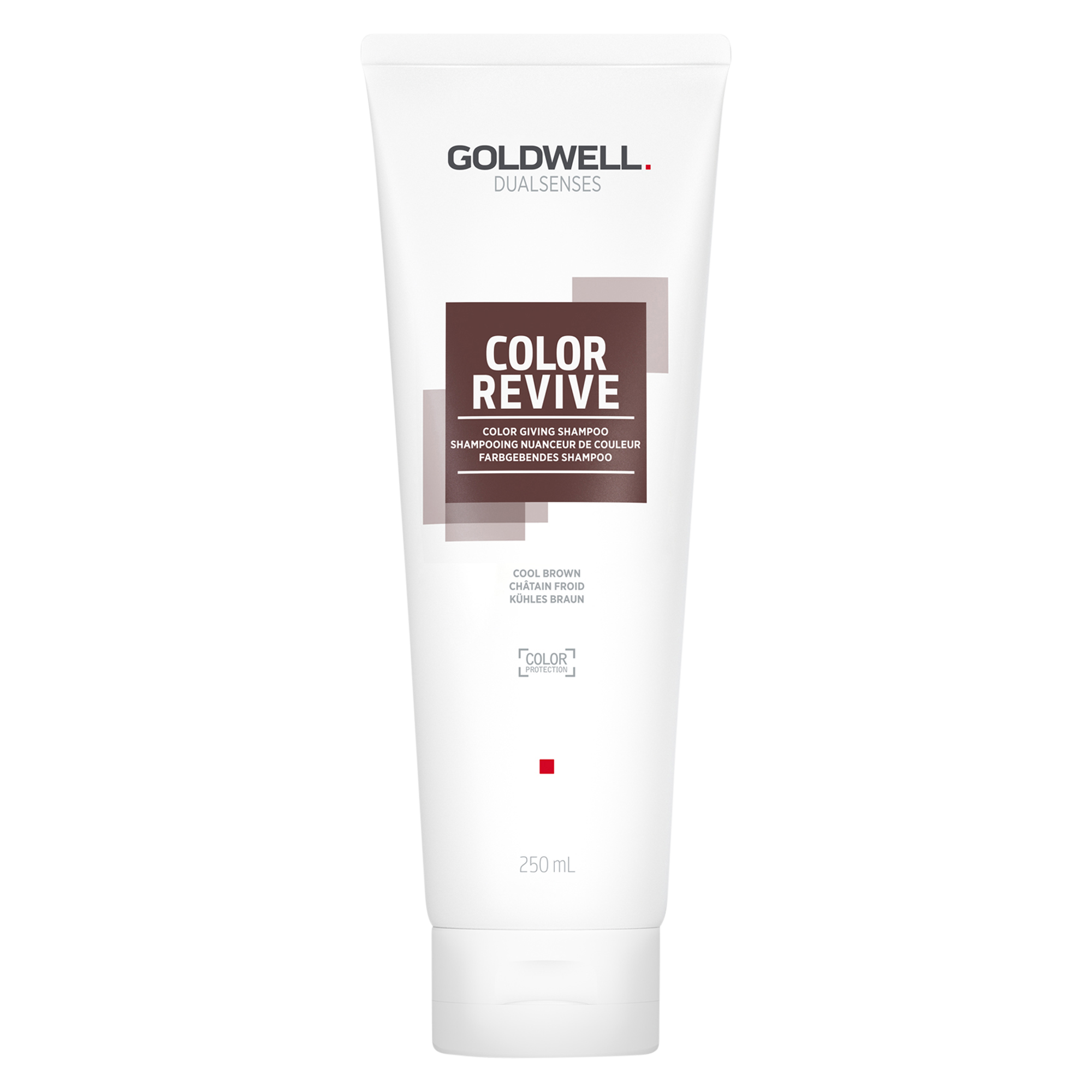 Goldwell Dualsenses Revive Farbgebendes Shampoo