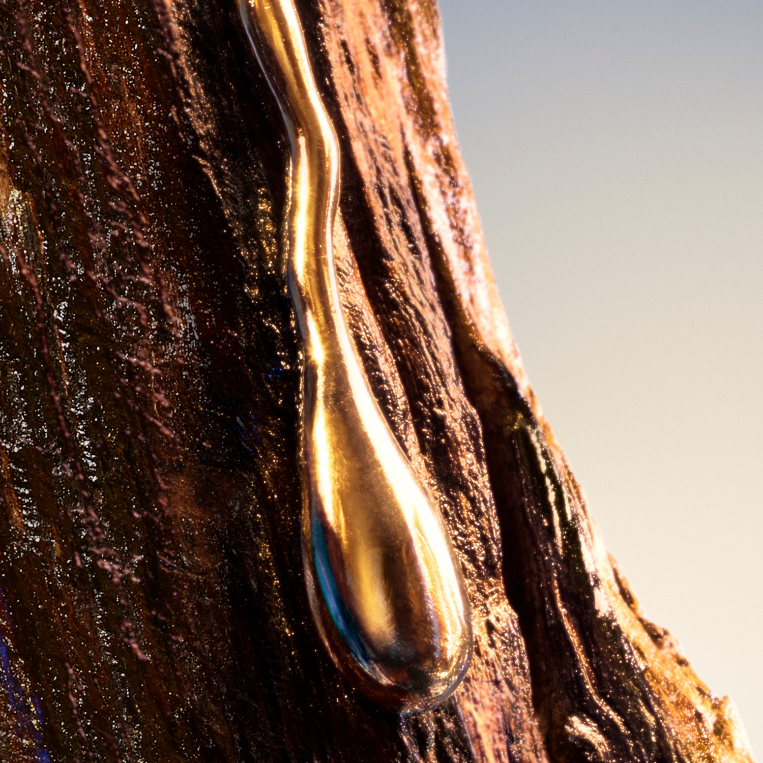 Davidoff Cool Elixir Man Parfum Intense Shower Gel