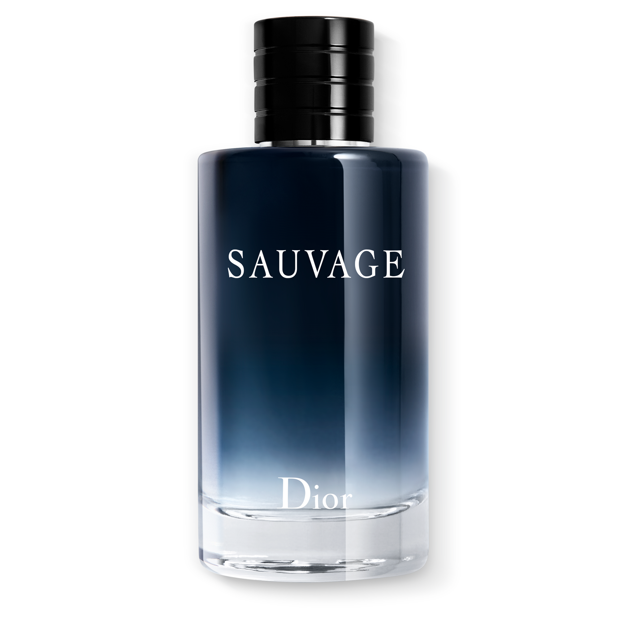 DIOR SAUVAGE Eau de Toilette (EdT)