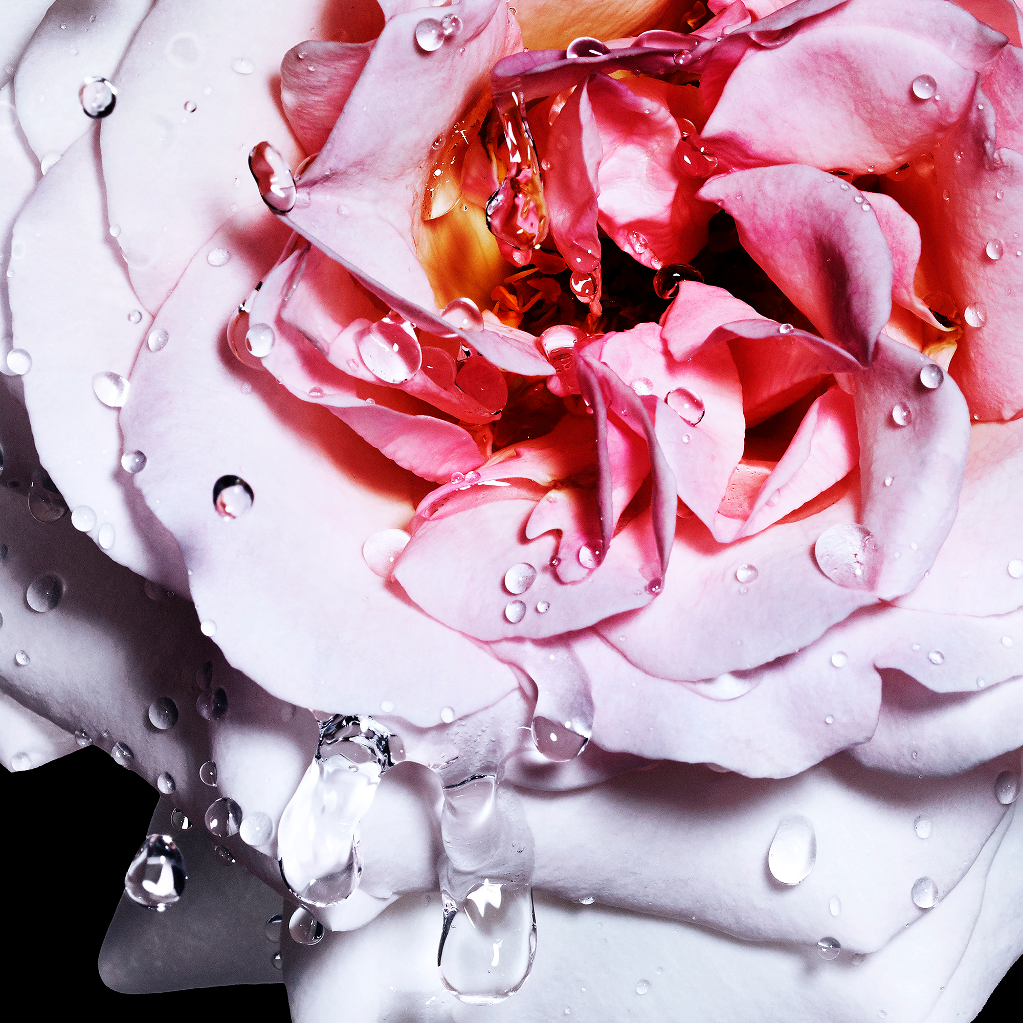 Davidoff Cool Water Reborn Woman Eau de Toilette (EdT)