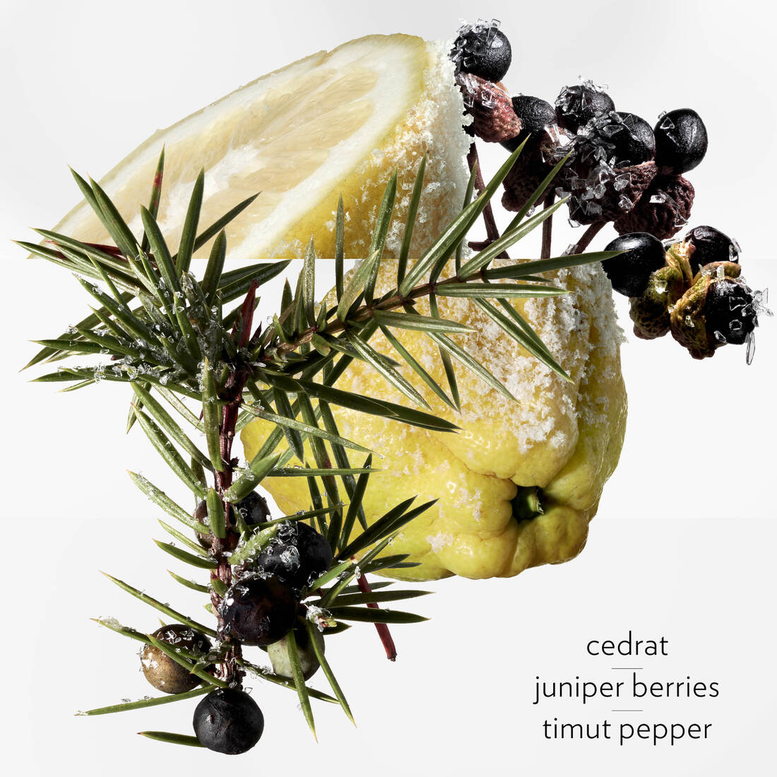 HERMÈS TERRE D'HERMÈS EAU GIVRÉE EAU DE PARFUM REFILL