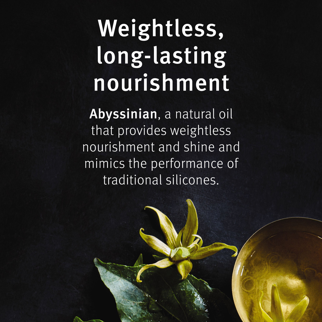 Aveda Shampure Nurturing Shampoo