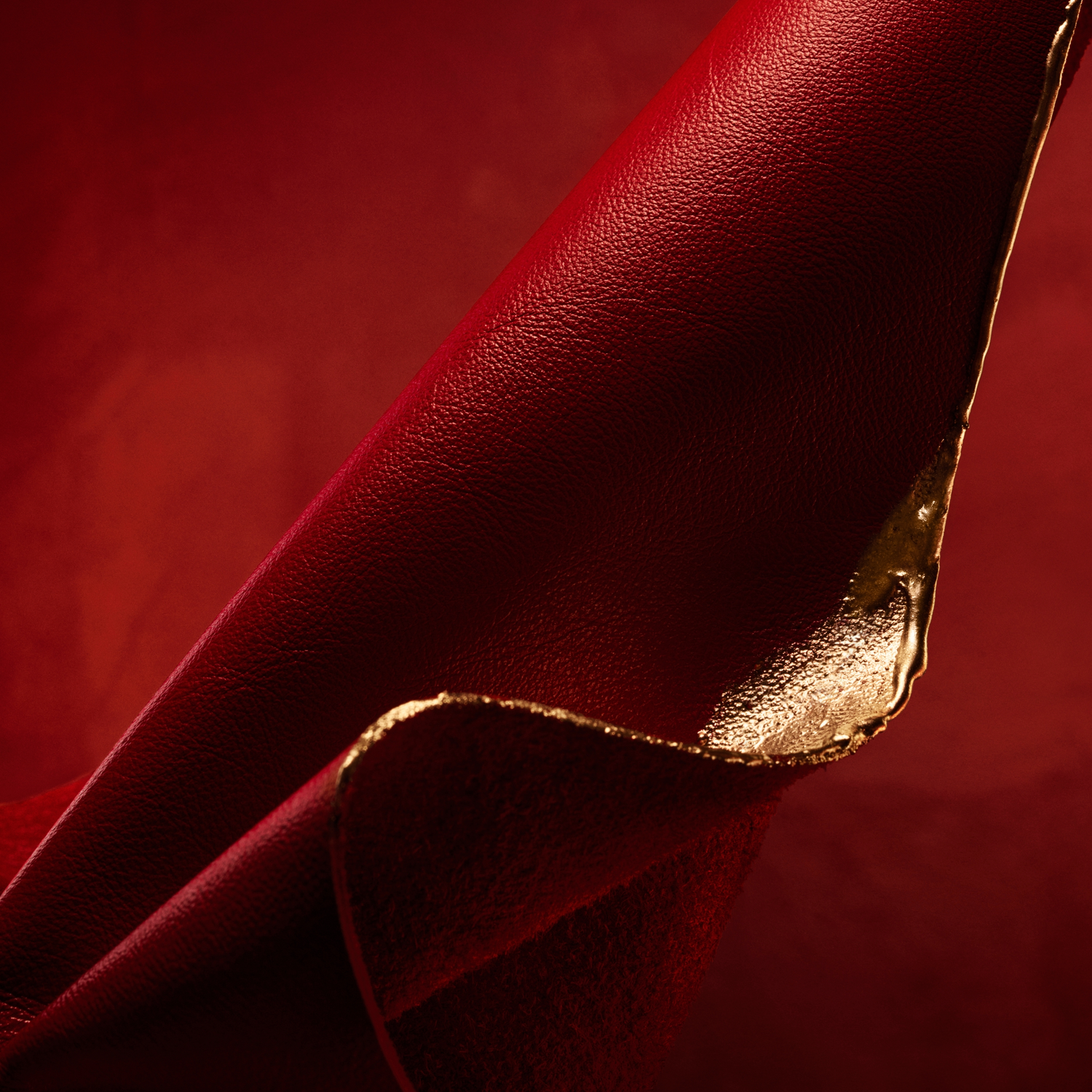 Boss Alive Absolu Eau de Parfum (EdP)