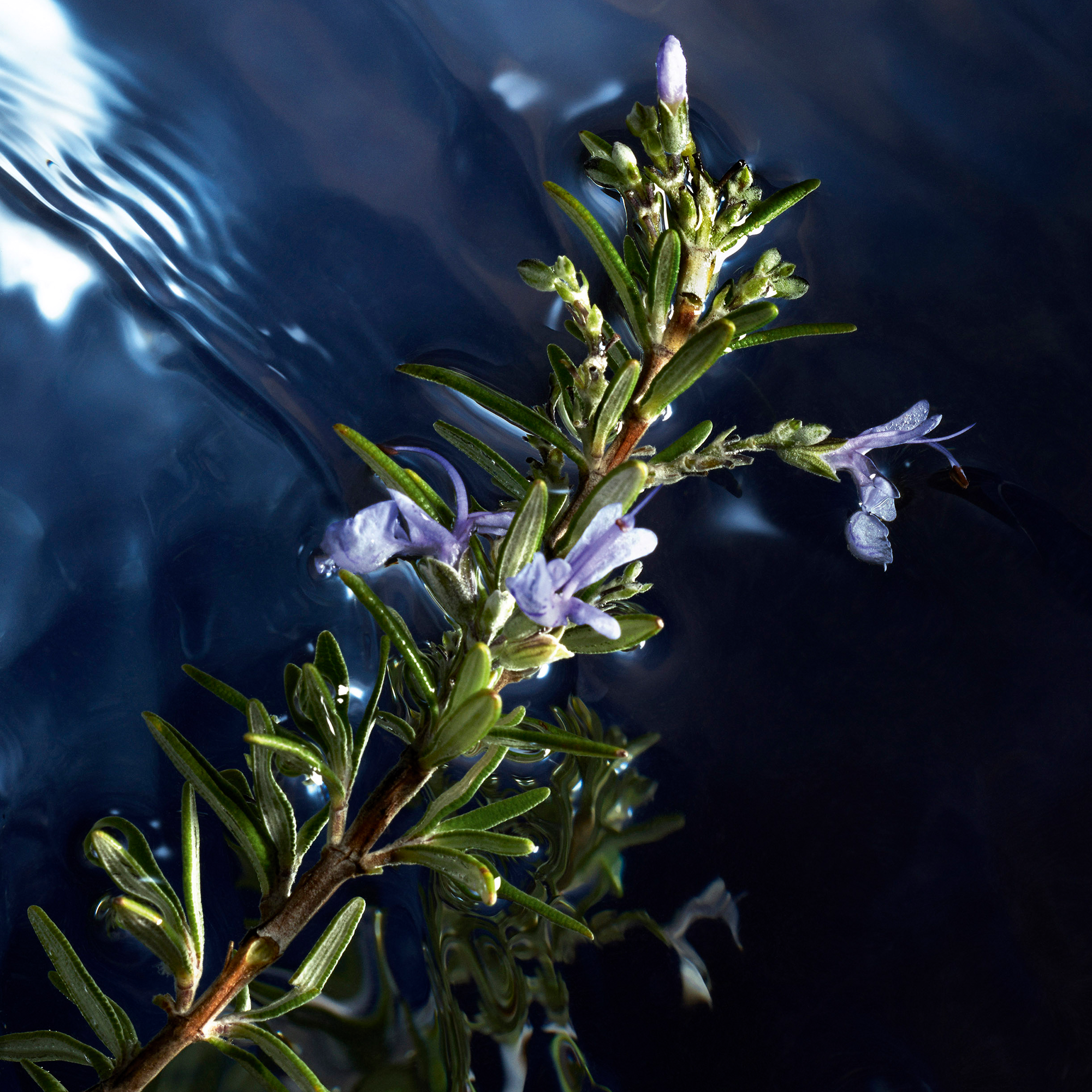 Davidoff Cool Water Reborn Man Eau de Toilette (EdT)