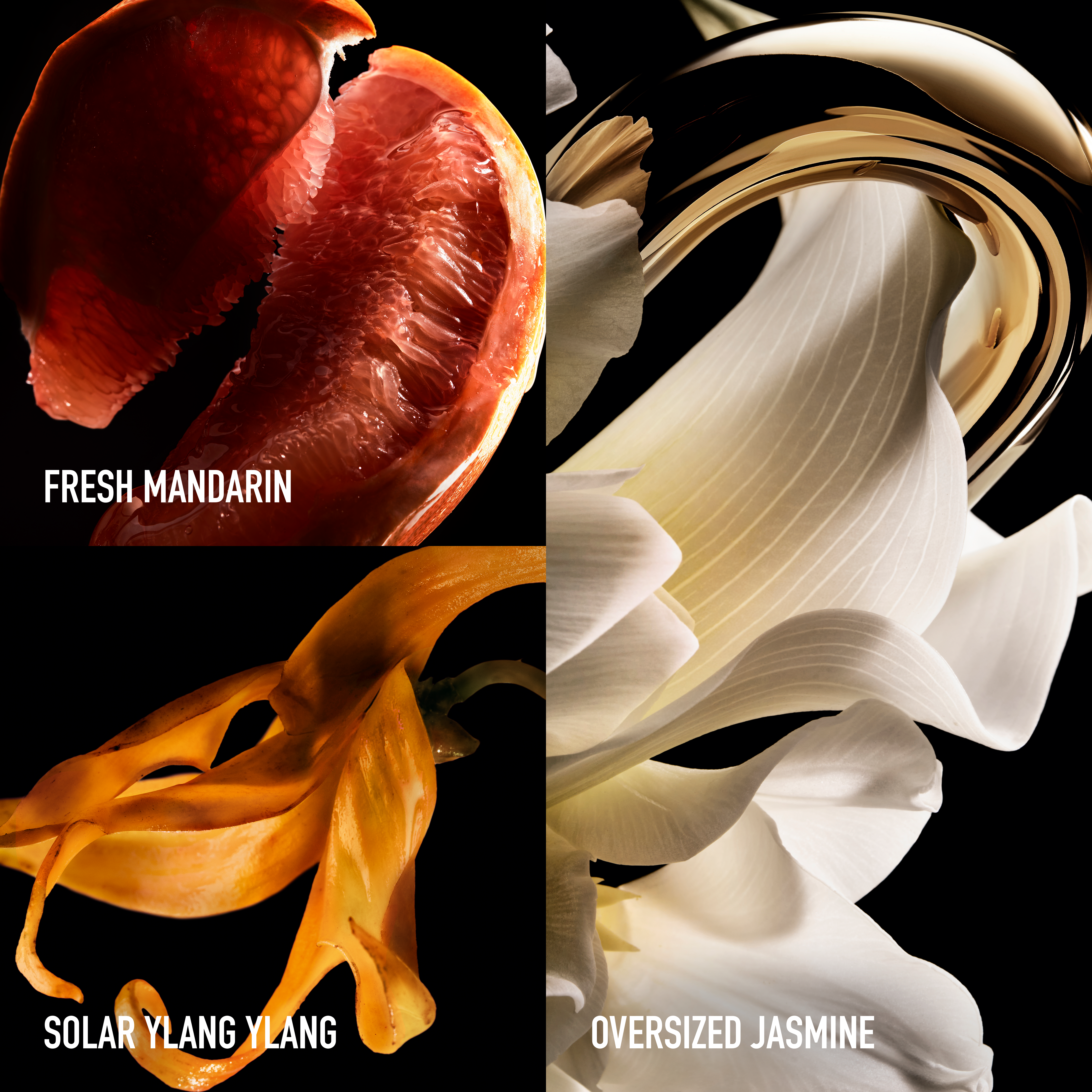 Rabanne Million Gold For Her Pure Jasmine Eau de Parfum (EdP) - Limited Edition