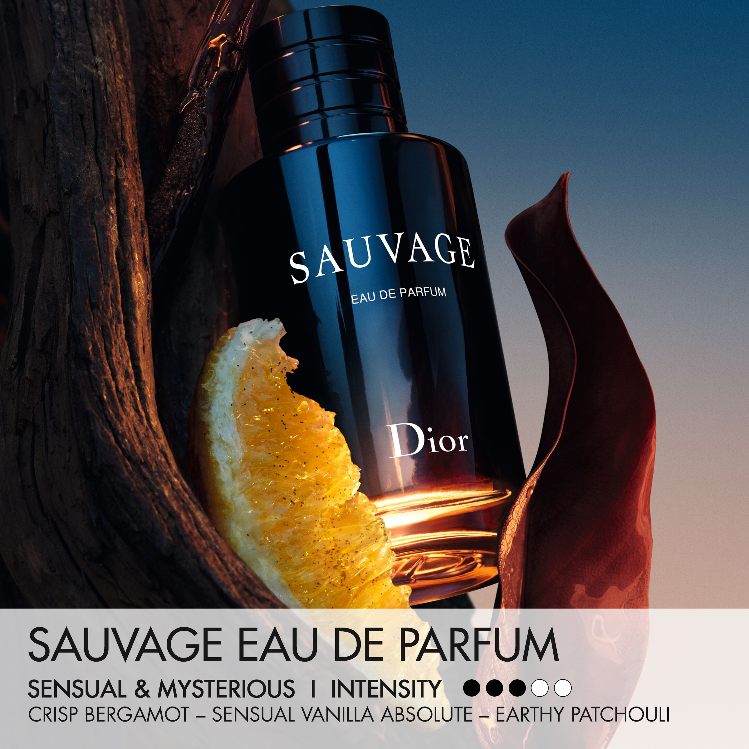 DIOR SAUVAGE Eau de Parfum (EdP)