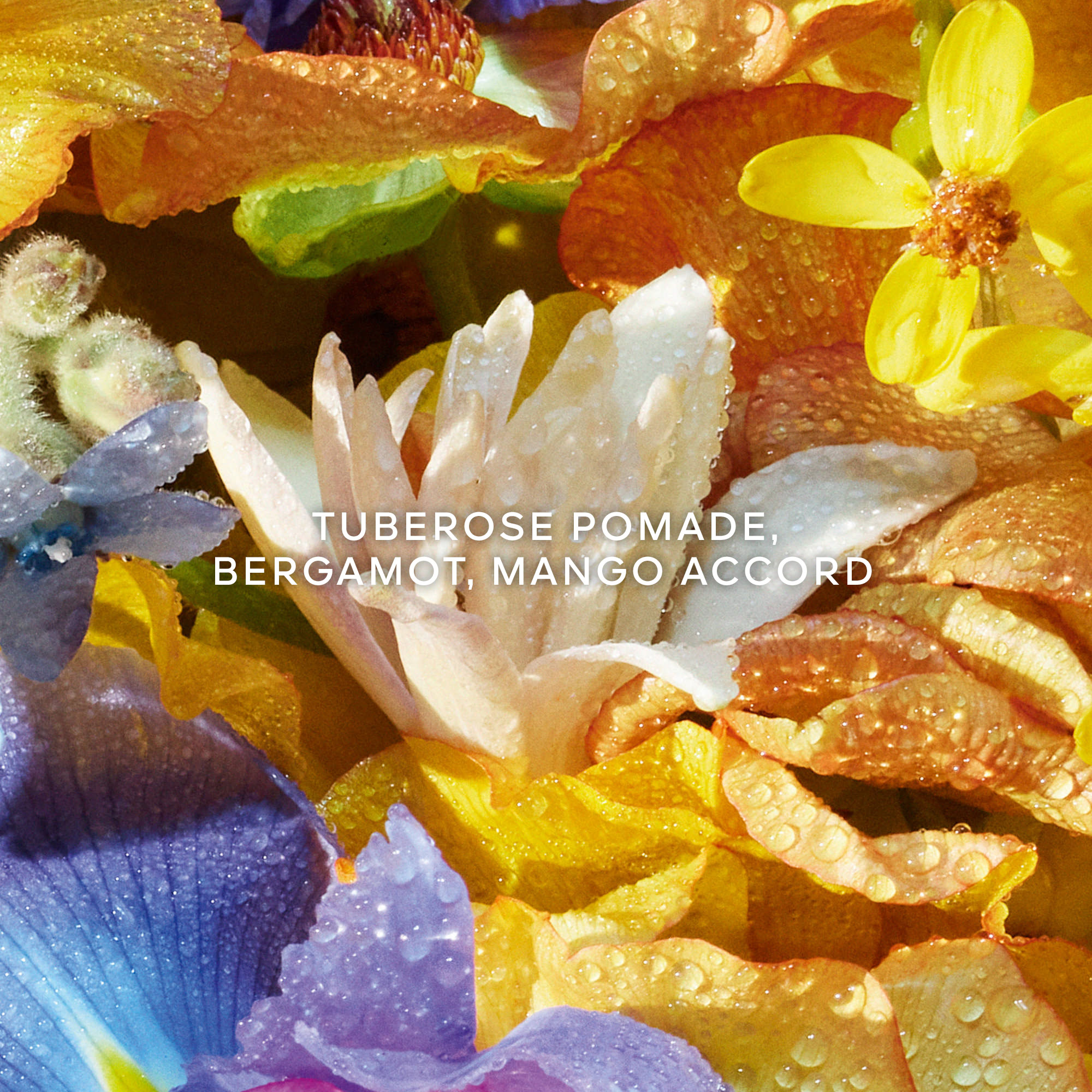 Guerlain Aqua Allegoria Flora Bloom Eau de Toilette (EdT)