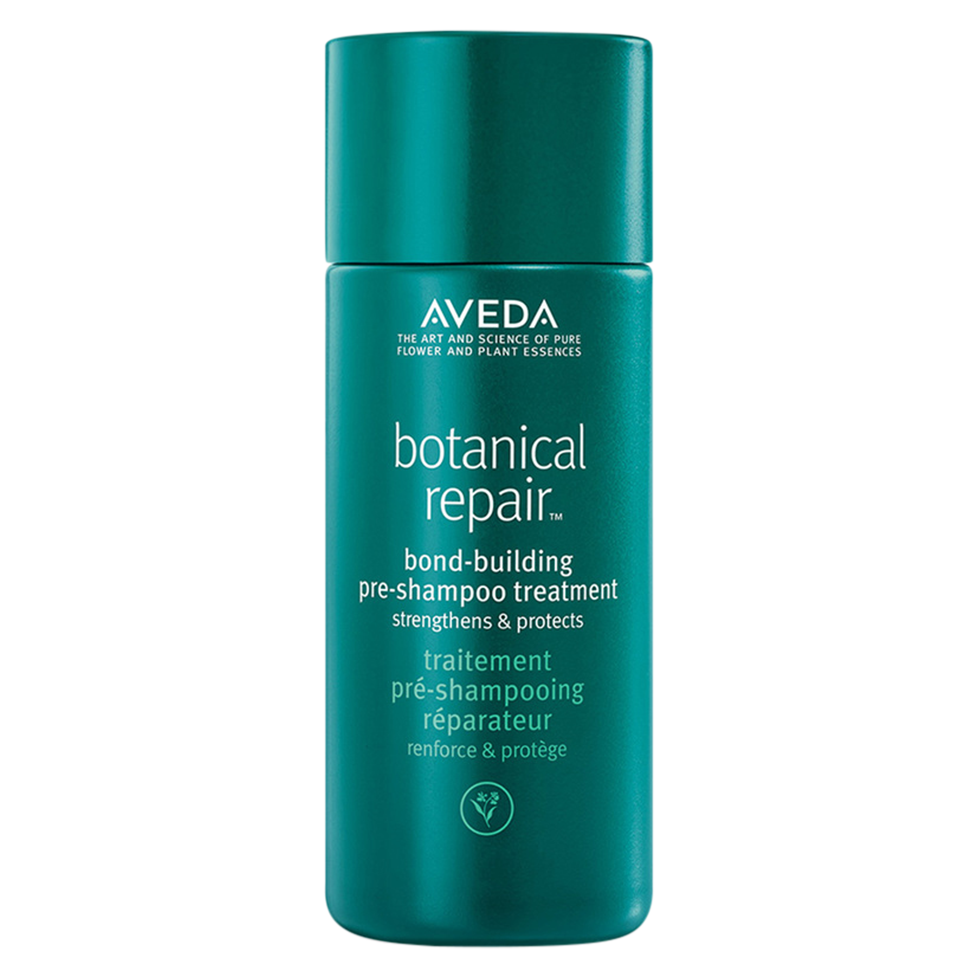 Aveda Botanical Repair Pre-Shampoo Treatment