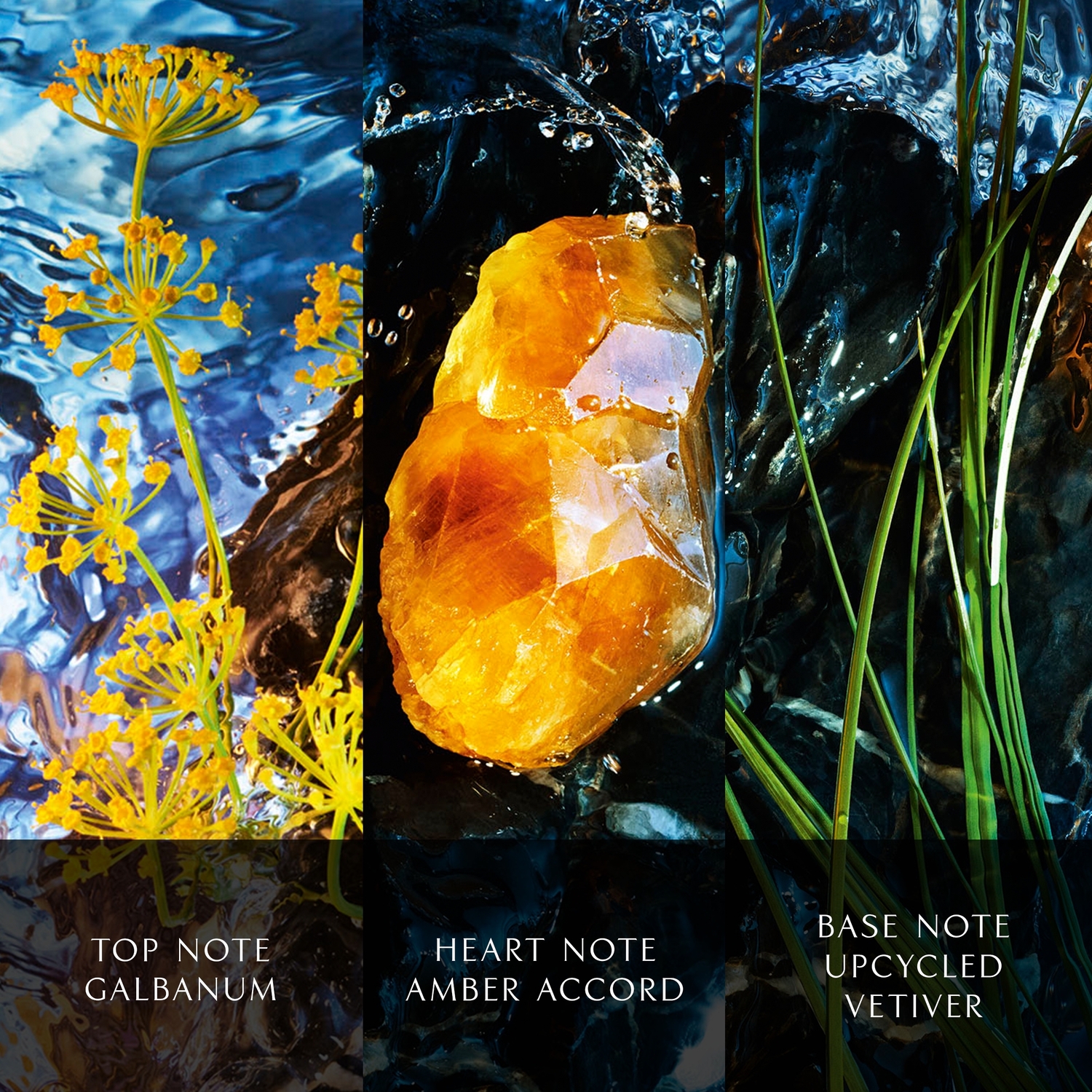 Davidoff Cool Water Reborn Intense Eau de Parfum (EdP) Intense