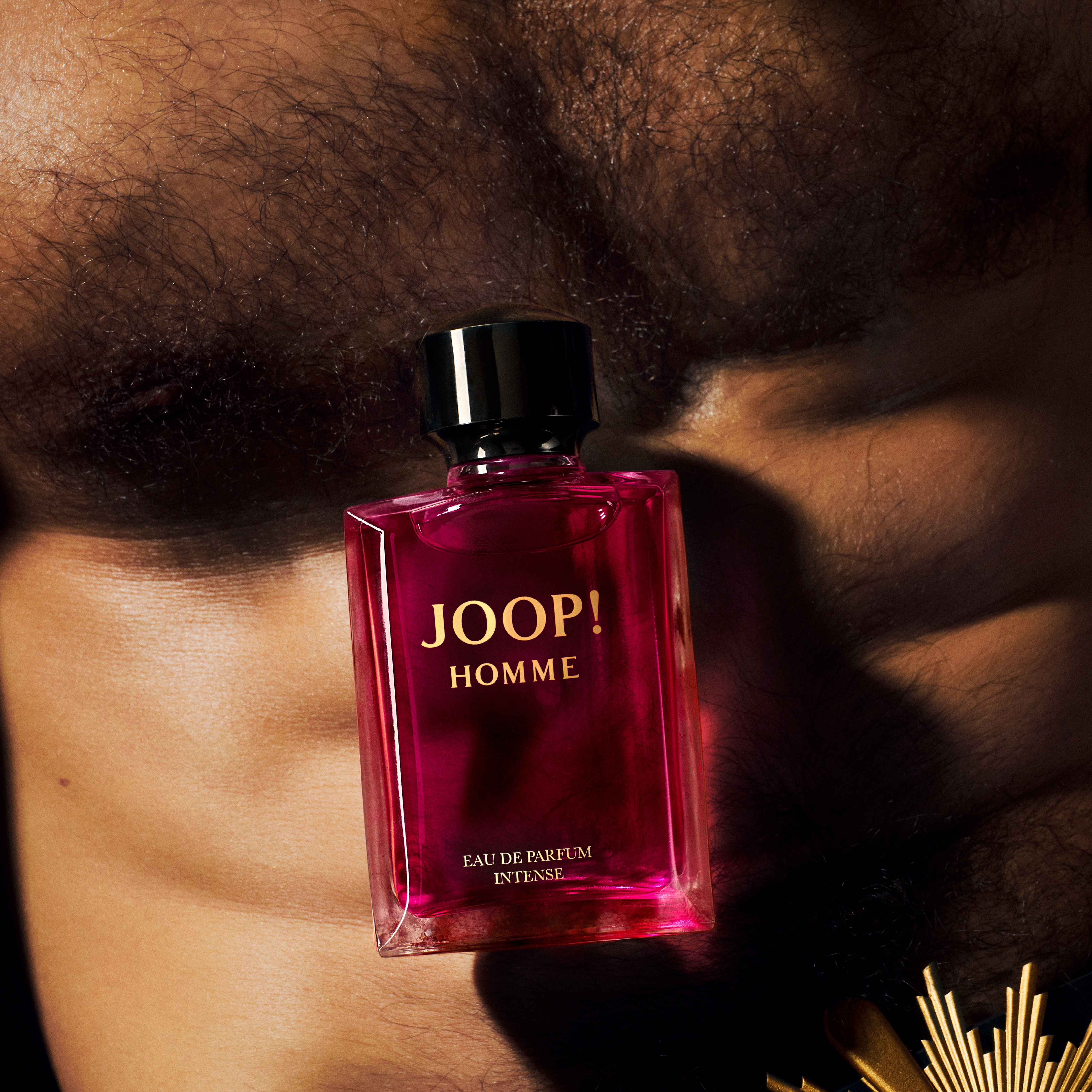 Joop! Homme Eau de Parfum (EdP) Intense
