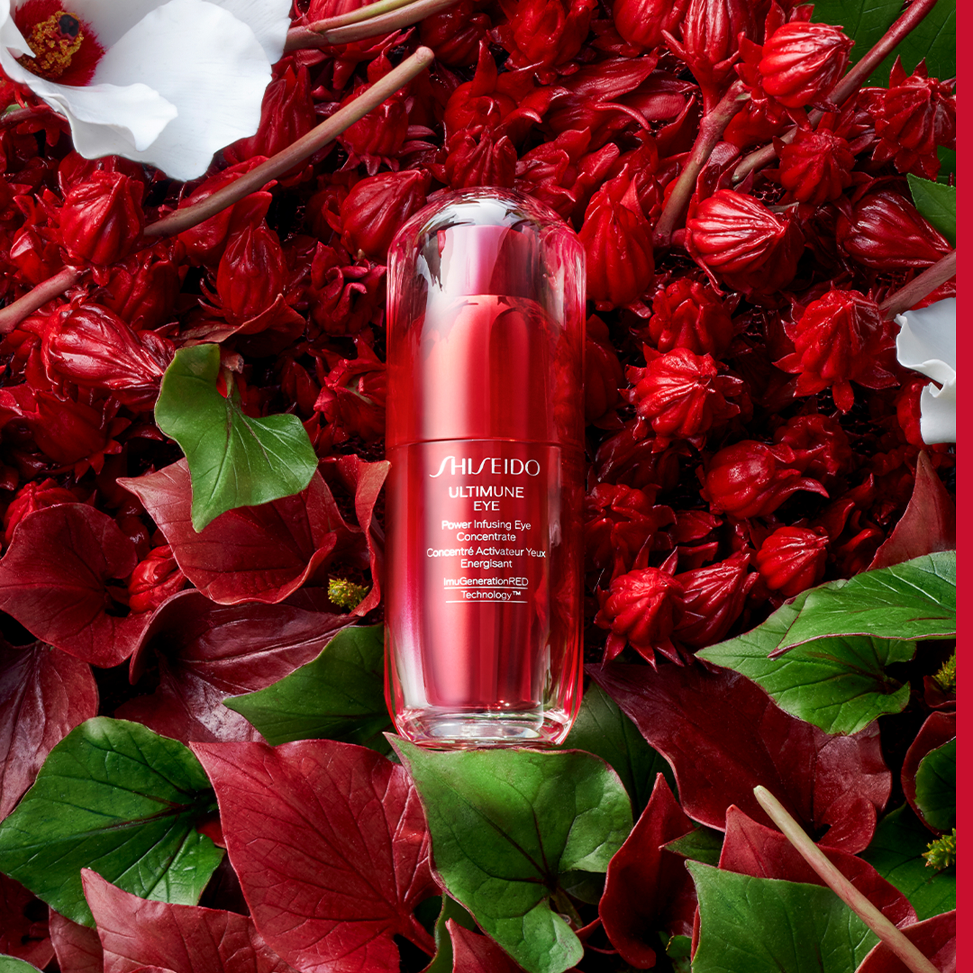 Shiseido Ultimune Power Infusing Eye Concentrate