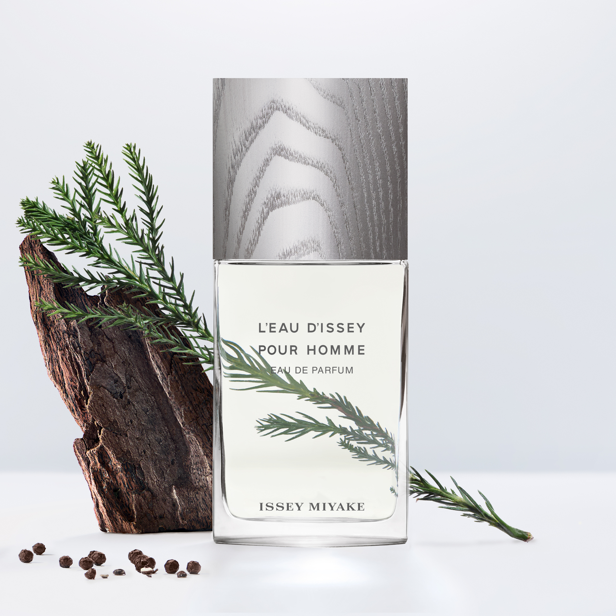 Issey Miyake L'Eau d'Issey pour Homme Eau de Parfum (EdP)