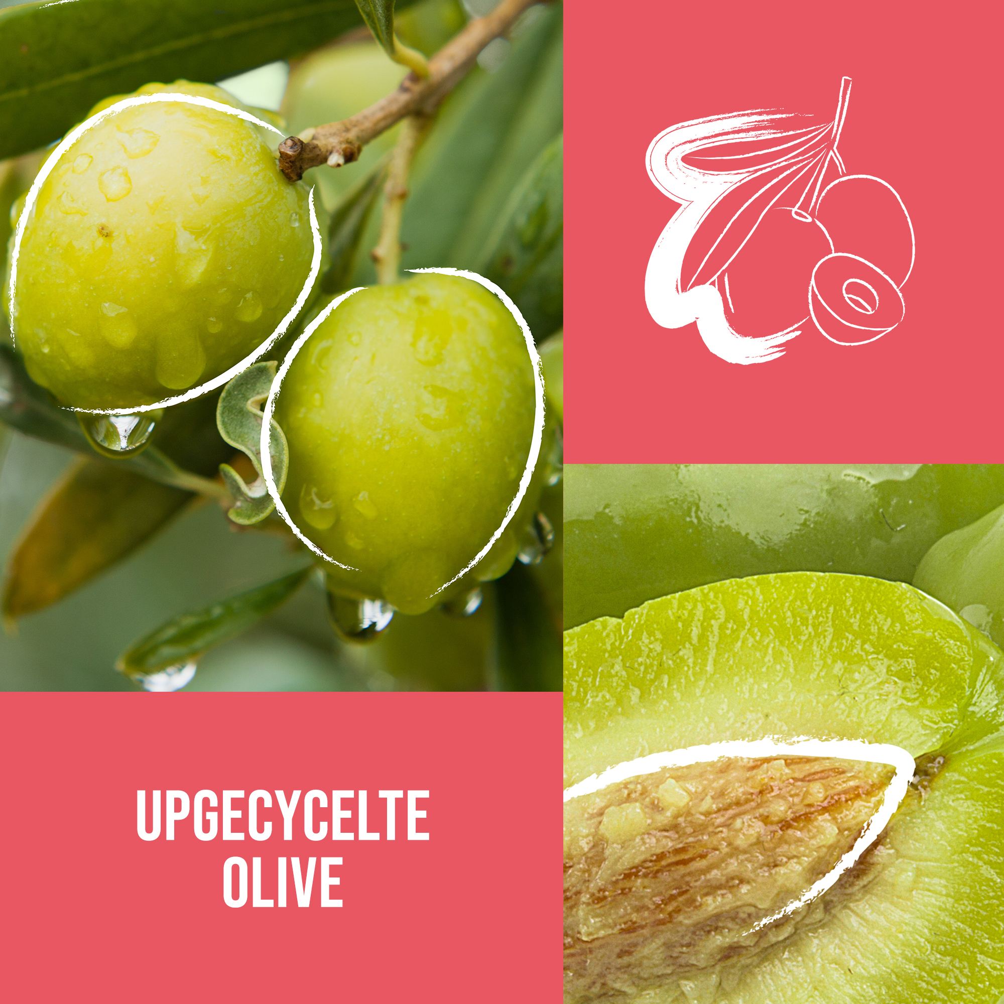 KMS AllSmooth Intense Nourishing Oil