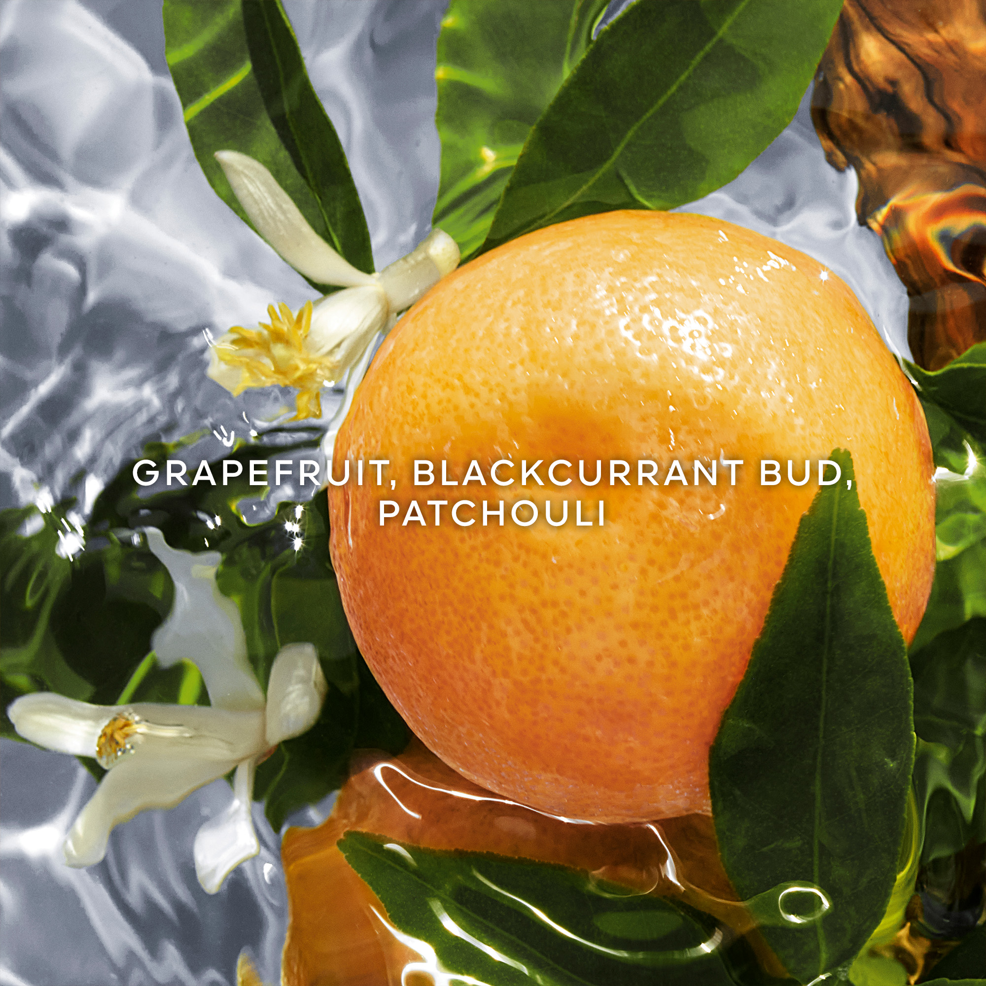 Guerlain Aqua Allegoria Pamplelune Eau de Toilette (EdT) Nachfüllung