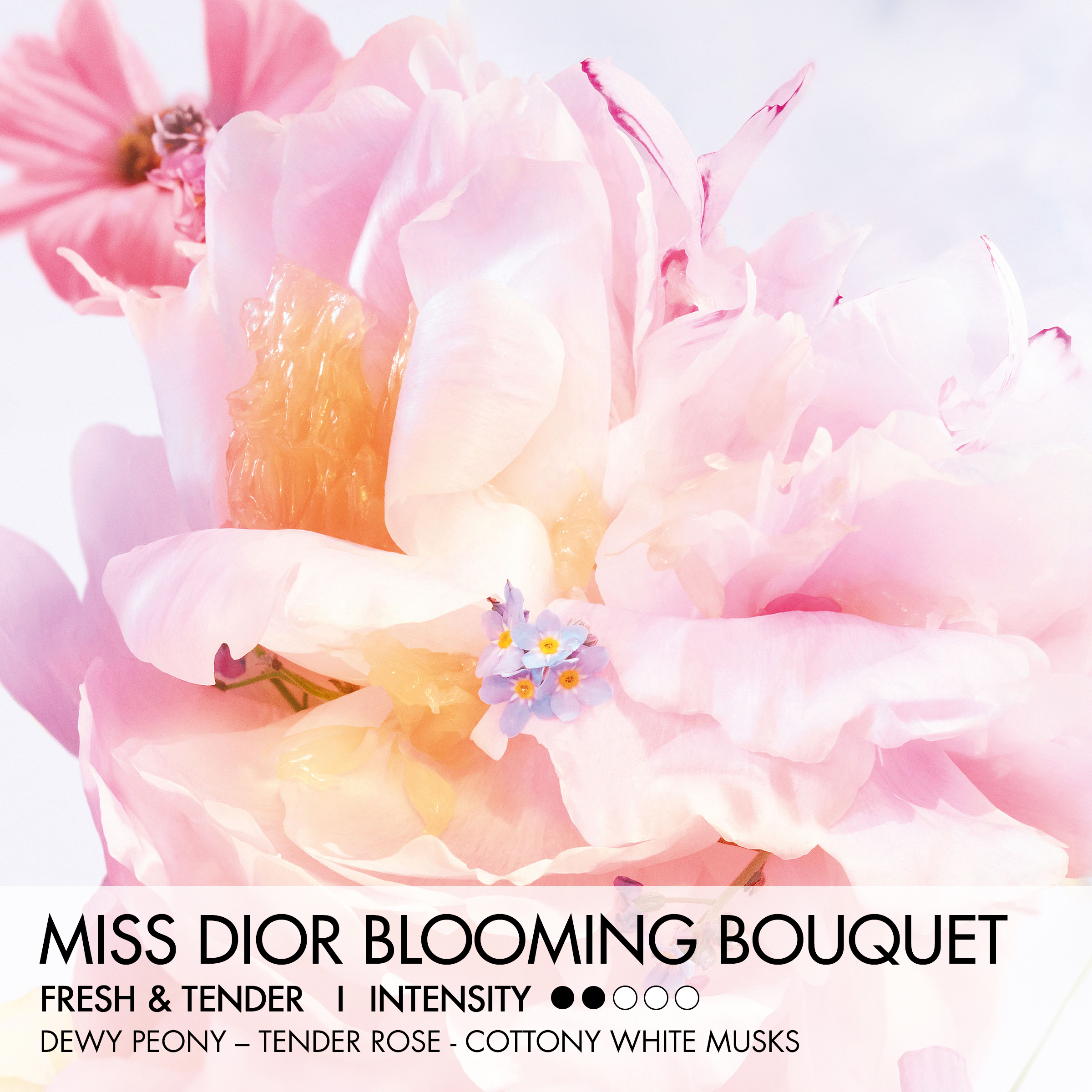 DIOR MISS DIOR BLOOMING BOUQUET ROLLER PEARL Eau de Toilette (EdT) Roll-On