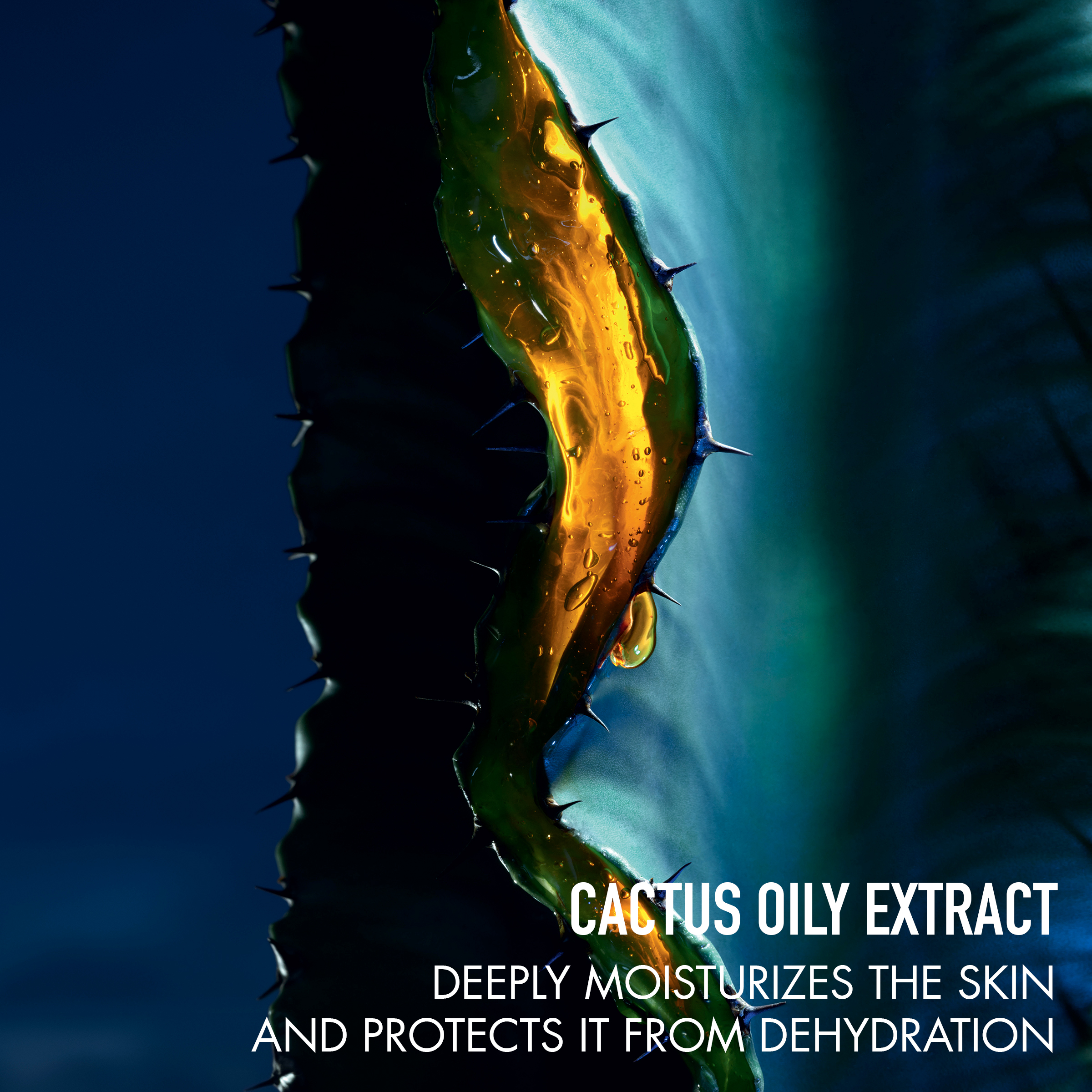 DIOR SAUVAGE Gesichtsserum mit der Kraft des Kaktus