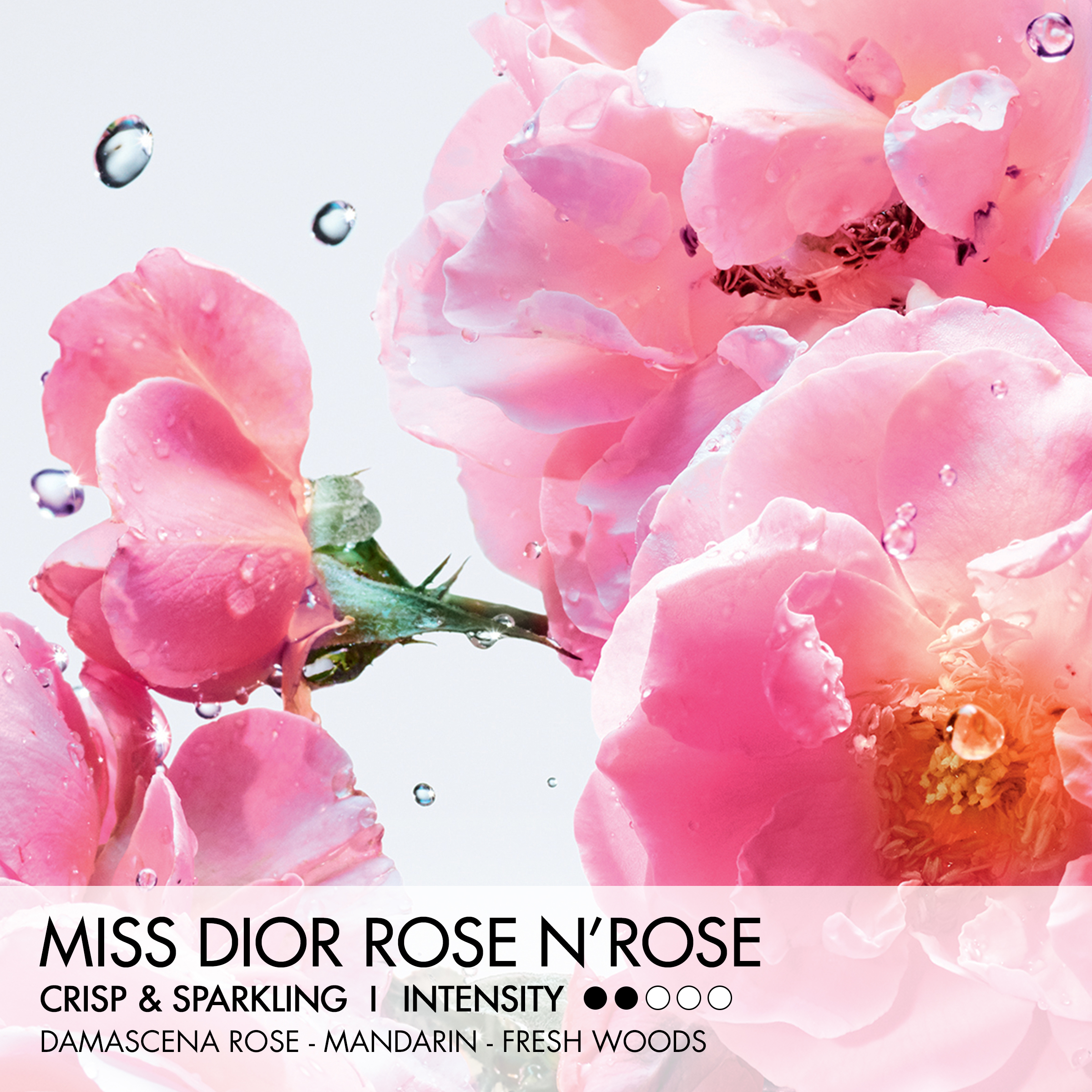 DIOR MISS DIOR ROSE N'ROSES ROLLER PEARL Eau de Toilette (EdT) Roll-On