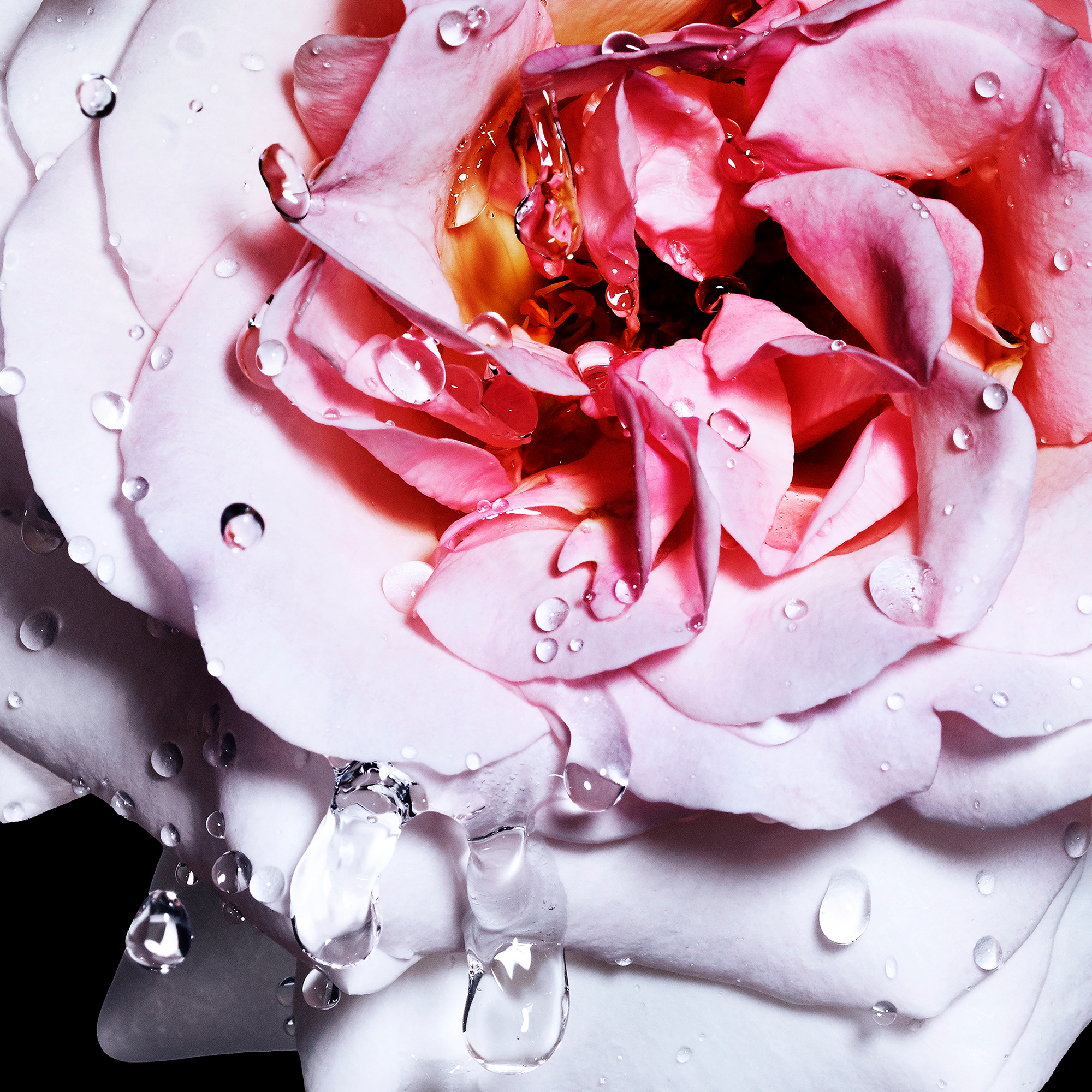 Davidoff Cool Water Reborn Woman Eau de Toilette (EdT)