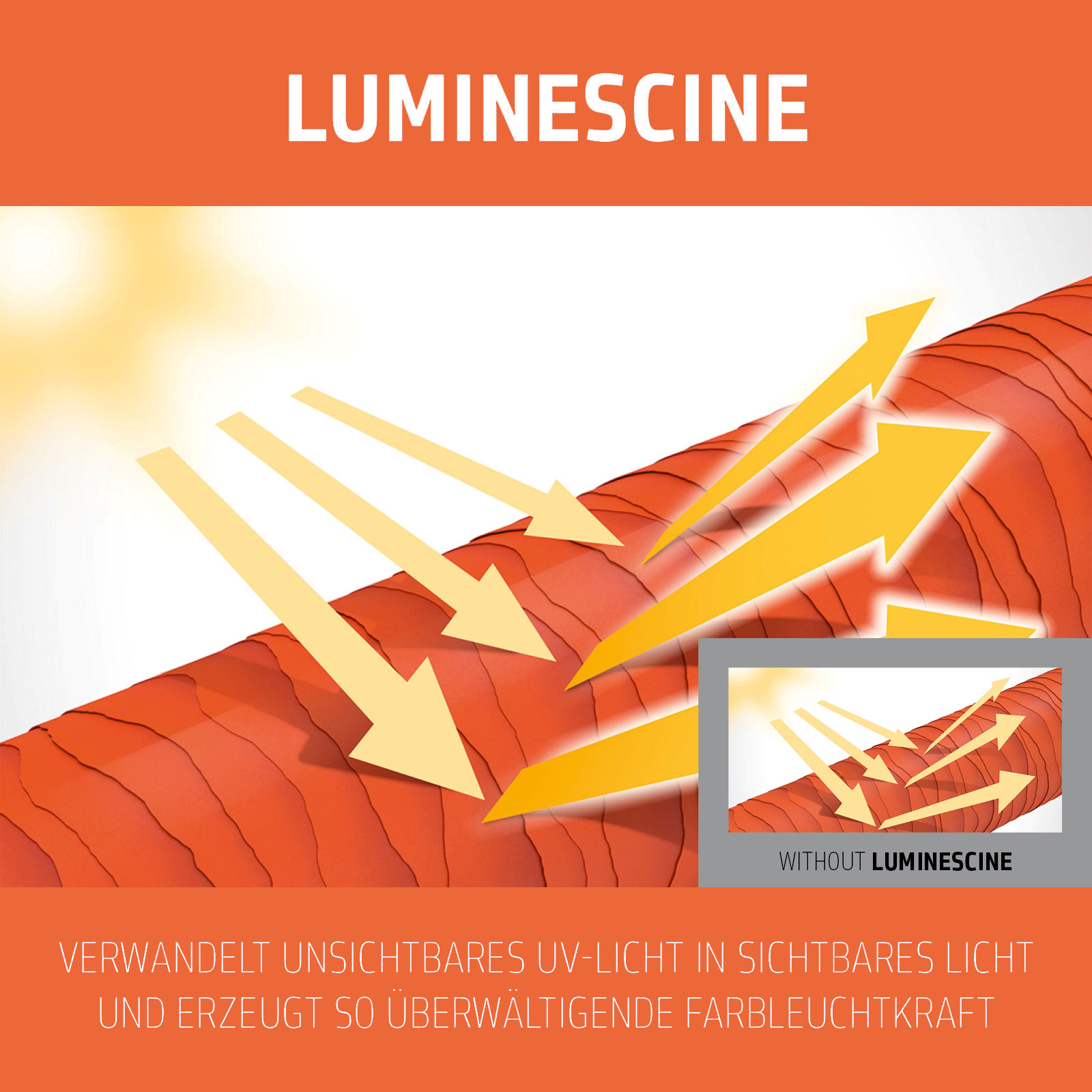 Goldwell Dualsenses Revive Farbgebender Conditioner