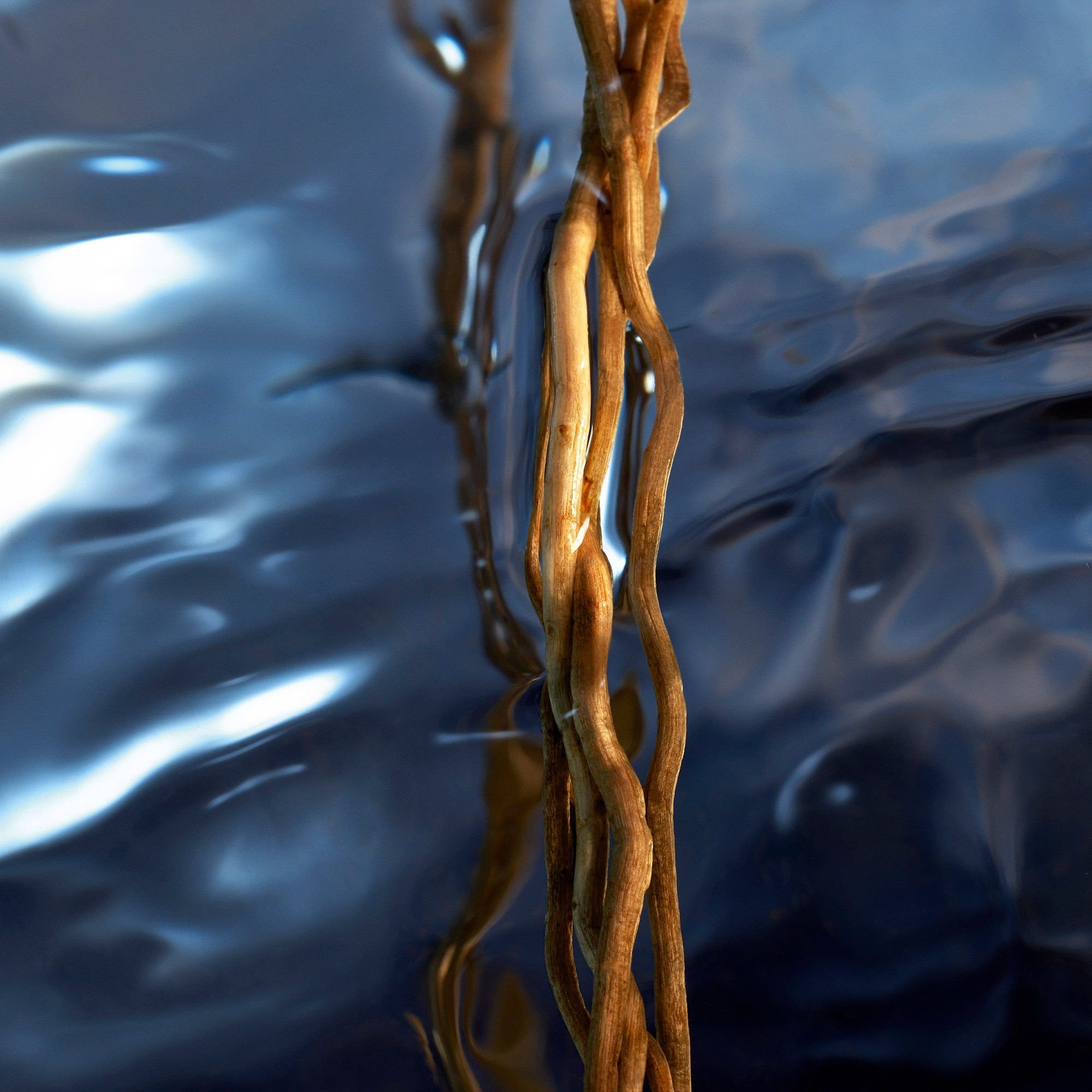 Davidoff Cool Water Reborn Man Eau de Toilette (EdT)