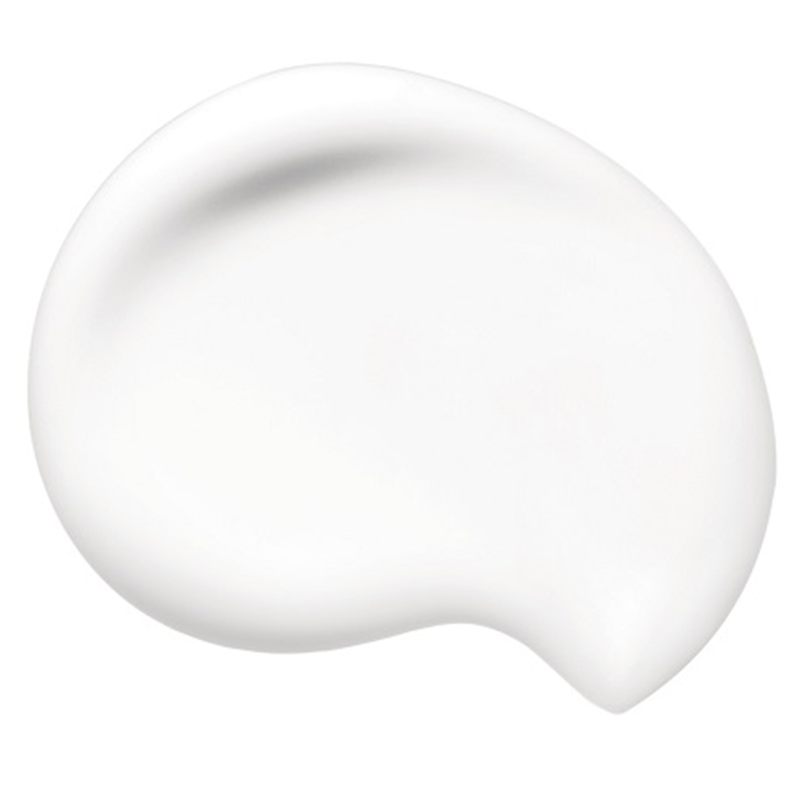 Shiseido Synchro Skin Soft Blurring Primer