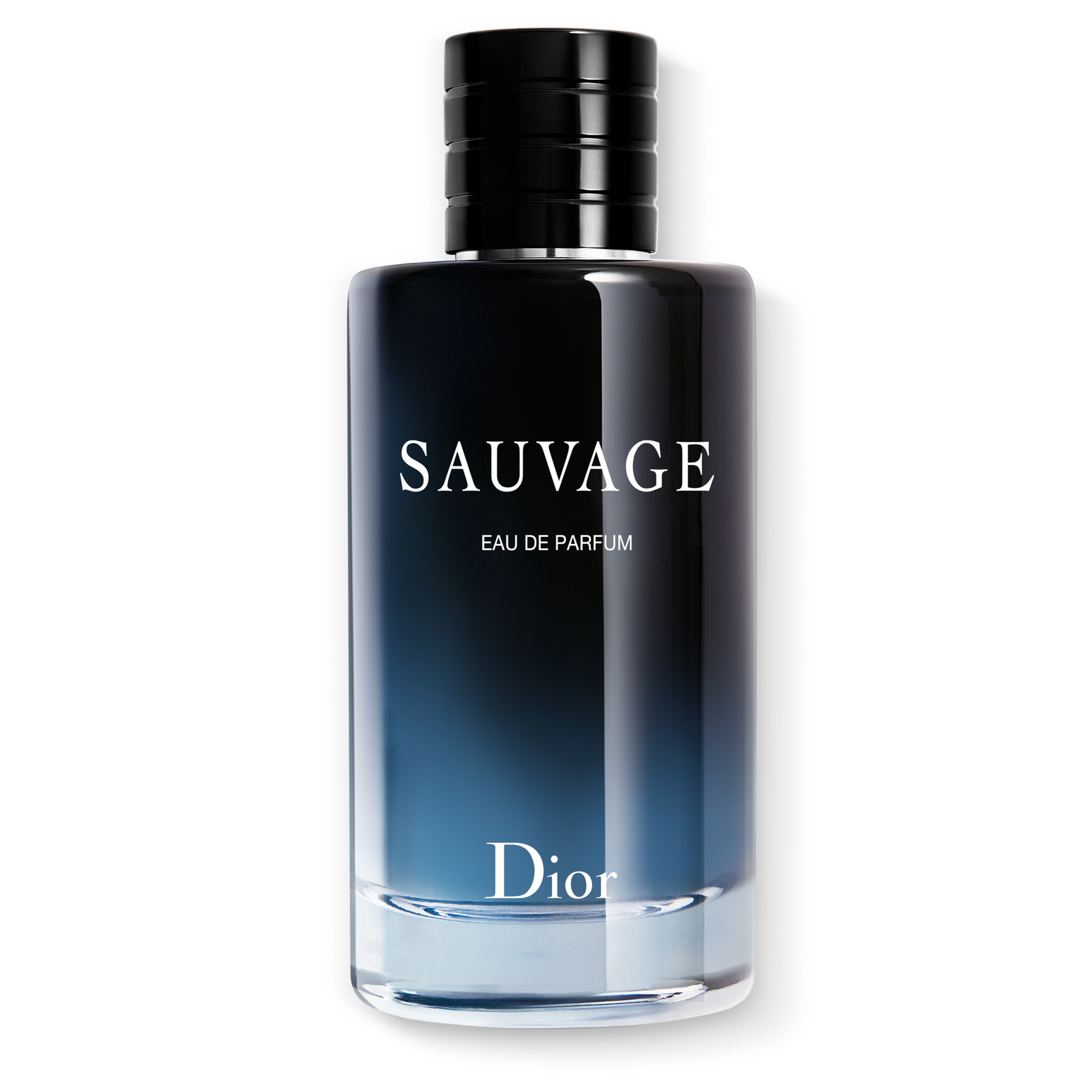 DIOR SAUVAGE Eau de Parfum (EdP)