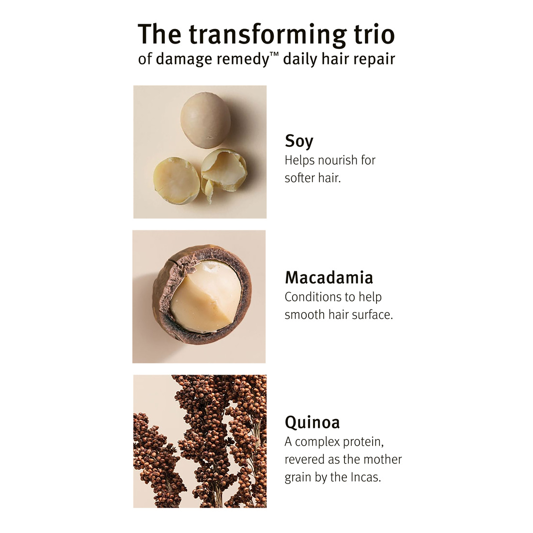 Aveda Damage Remedy Daily Hair Repair