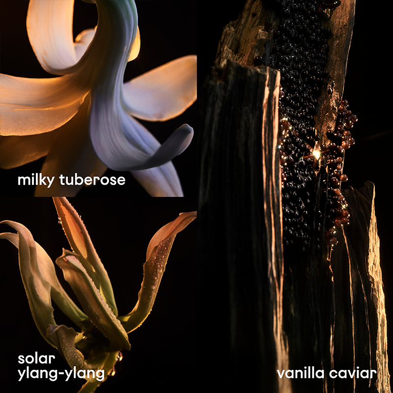 Rabanne Lady Million Fabulous Eau de Parfum (EdP)