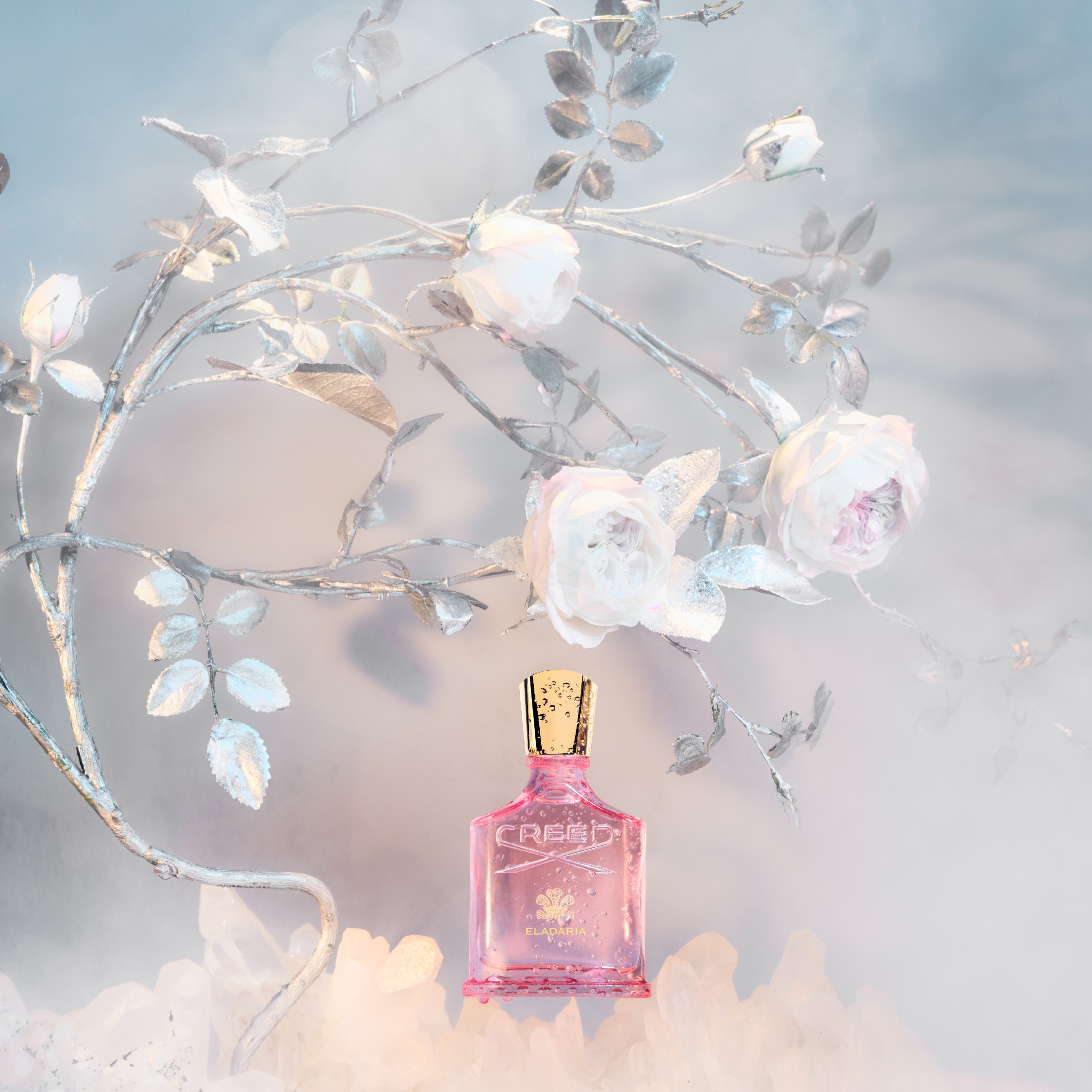 Creed Eladaria Eau de Parfum (EdP)