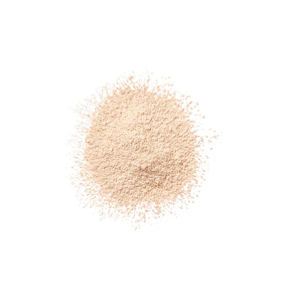 Clinique Blended Face Loose Powder