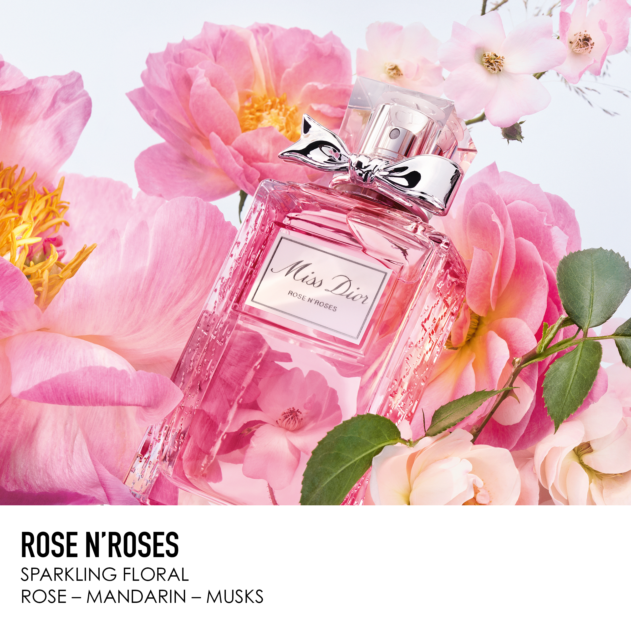DIOR MISS DIOR ROSE N'ROSES Eau de Toilette (EdT)