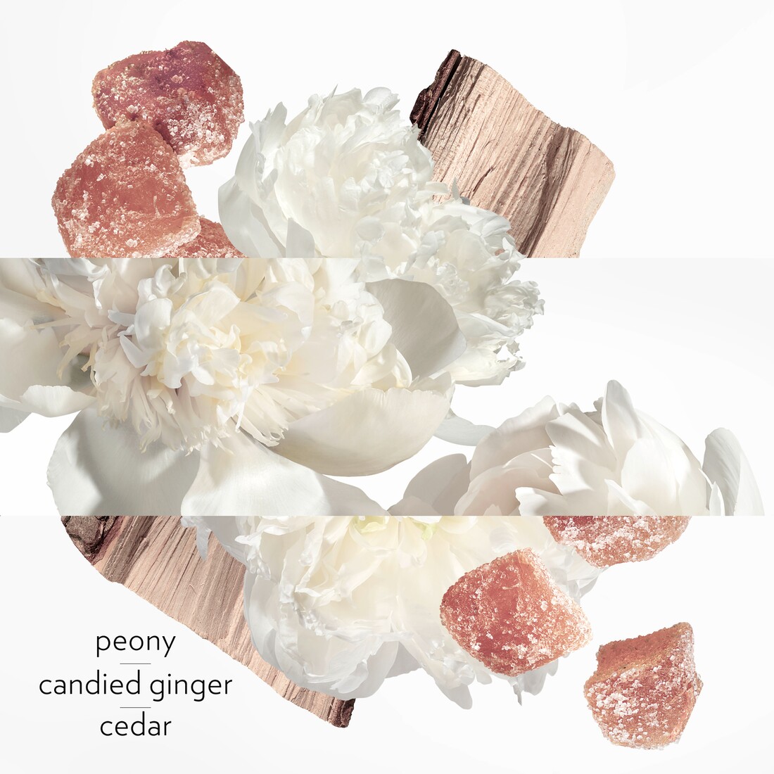 HERMÈS TWILLY D'HERMÈS EAU GINGER EAU DE PARFUM