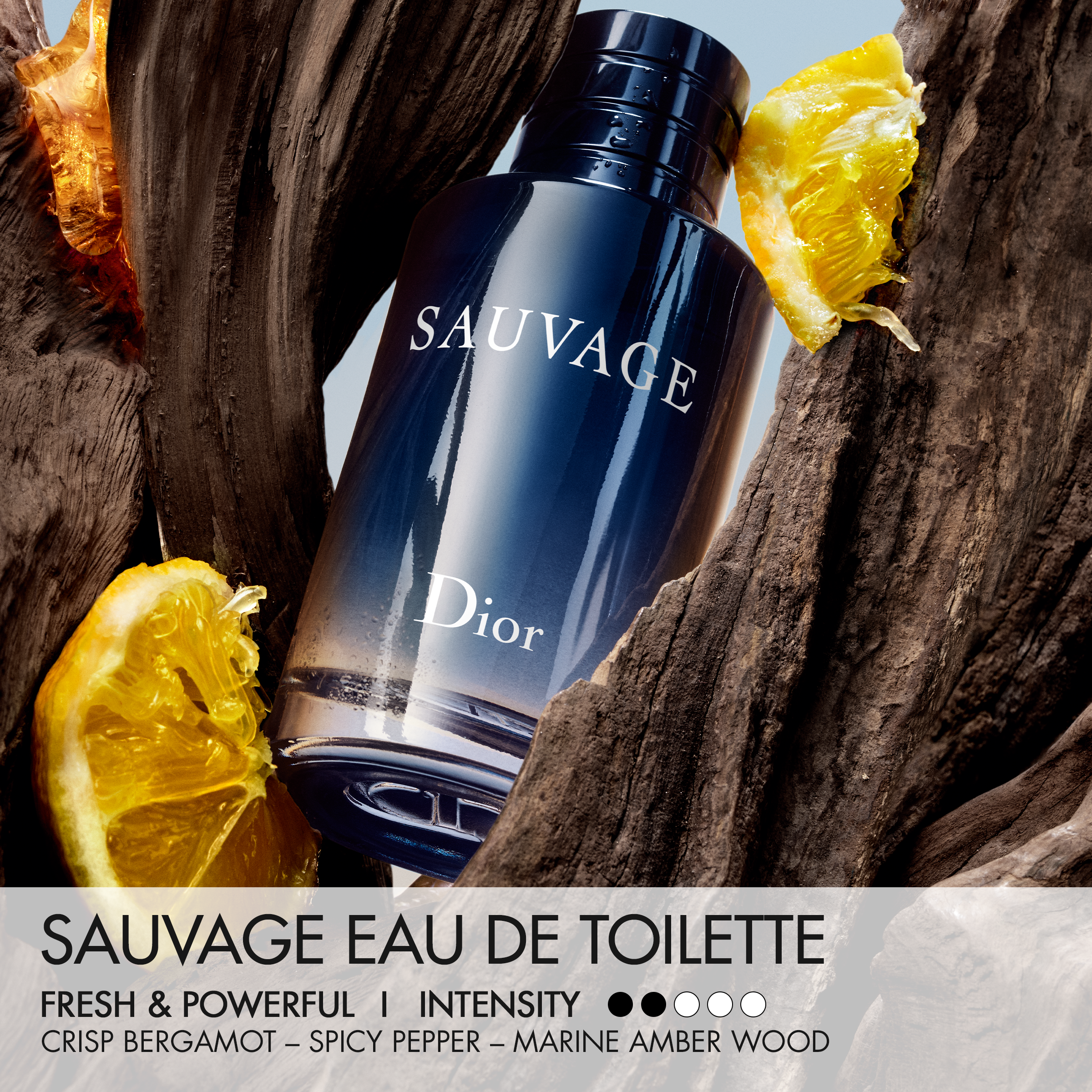 DIOR SAUVAGE Eau de Toilette (EdT) - Refill