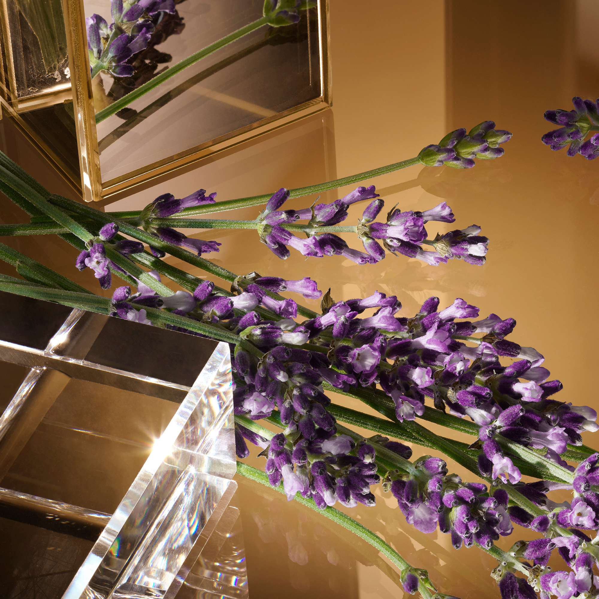 Dolce&Gabbana The One Men Eau de Toilette (EdT)