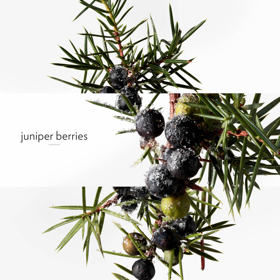 HERMÈS TERRE D'HERMÈS EAU GIVRÉE EAU DE PARFUM REFILL