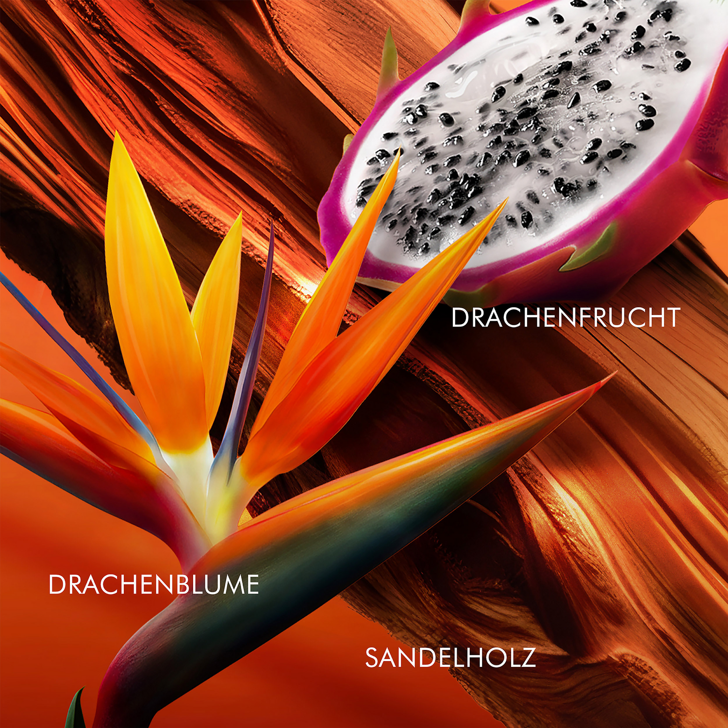 Escada Bali Paradise Eau de Toilette (EdT)