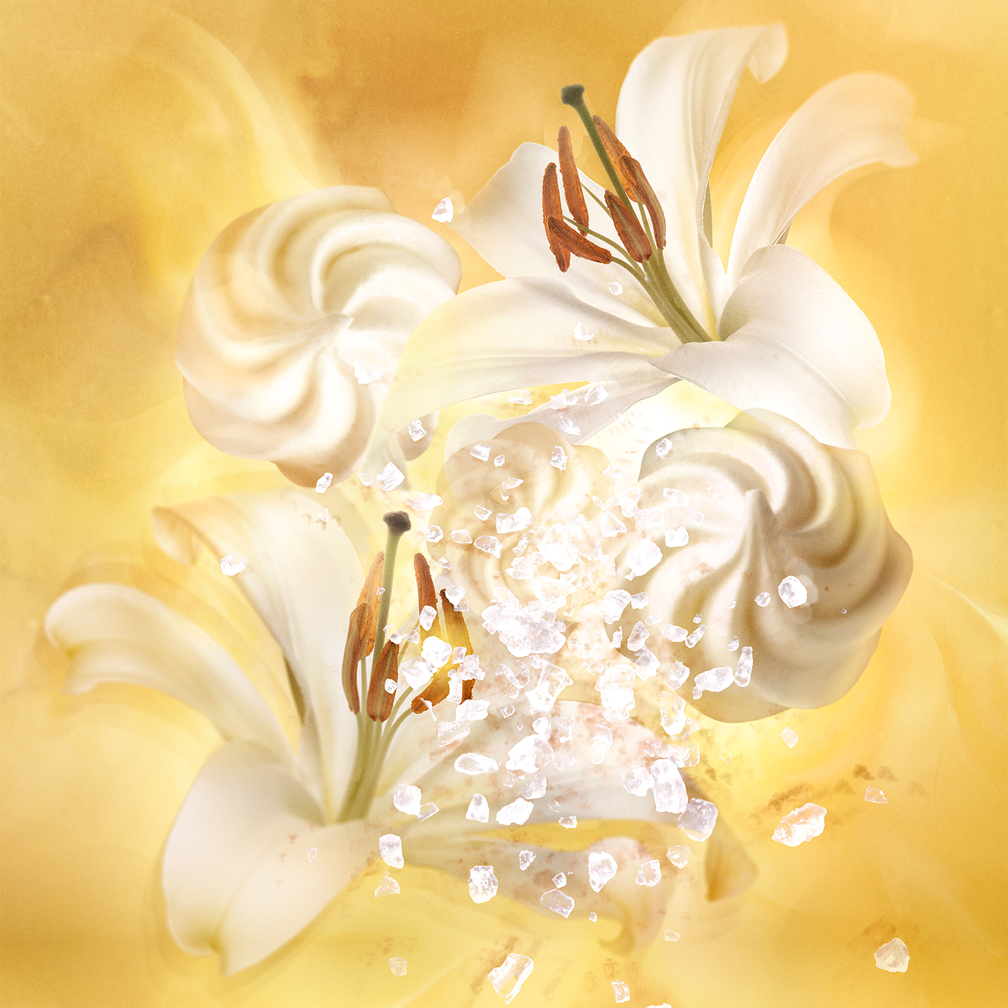 Jean Paul Gaultier Gaultier Divine Eau de Parfum (EdP) Refillable