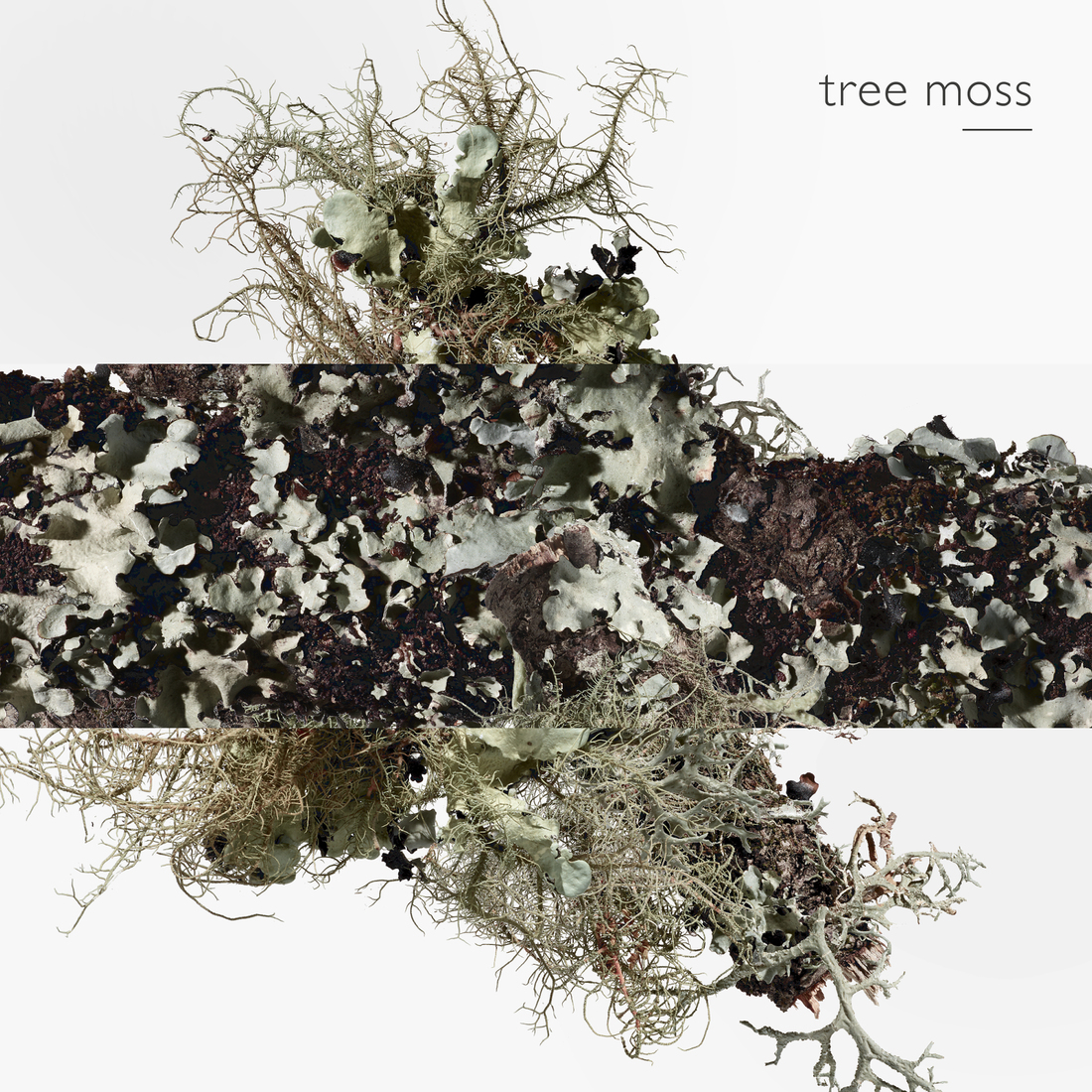 HERMÈS EAU D'ORANGE VERTE EAU DE COLOGNE