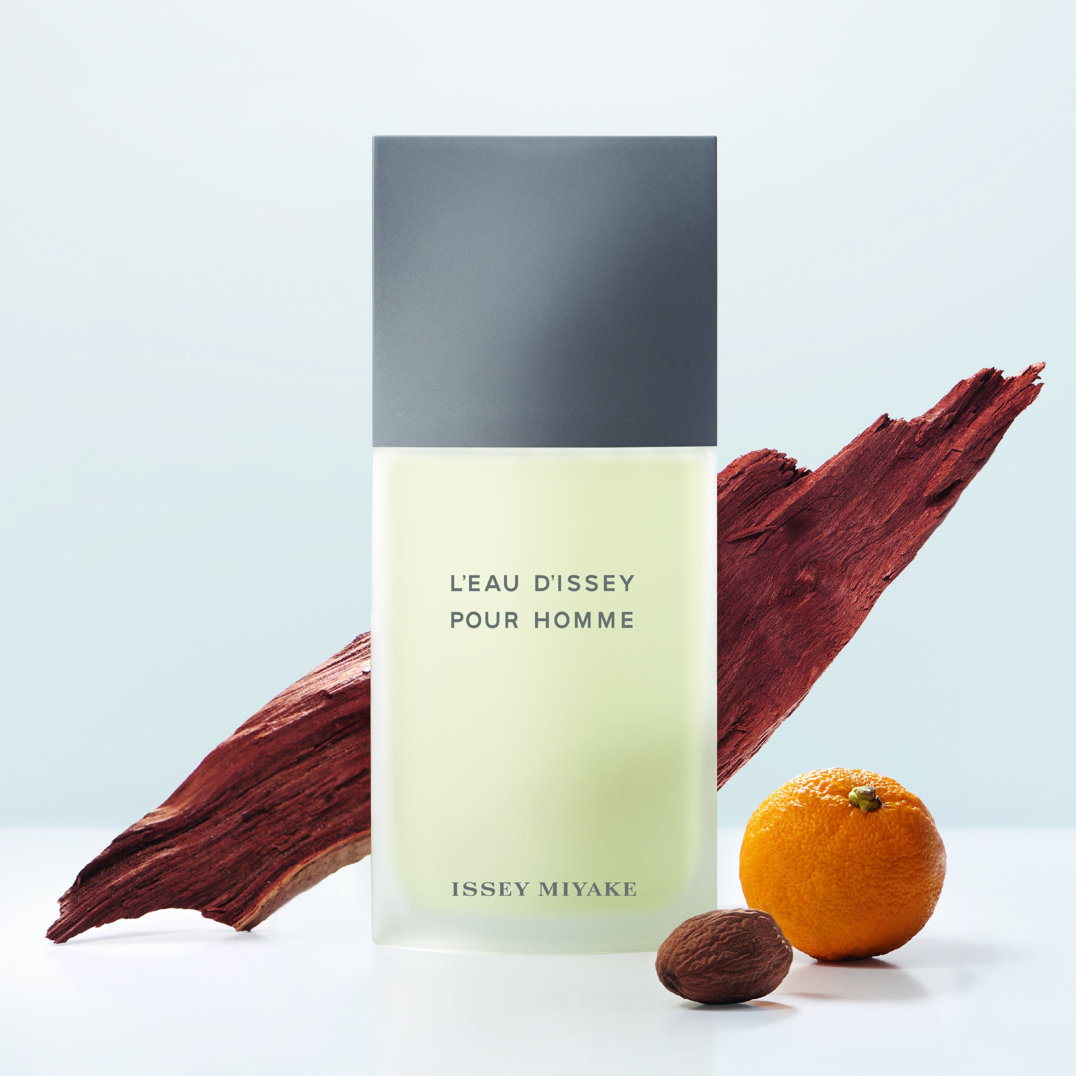 Issey Miyake L'Eau d'Issey Pour Homme Eau de Toilette (EdT)