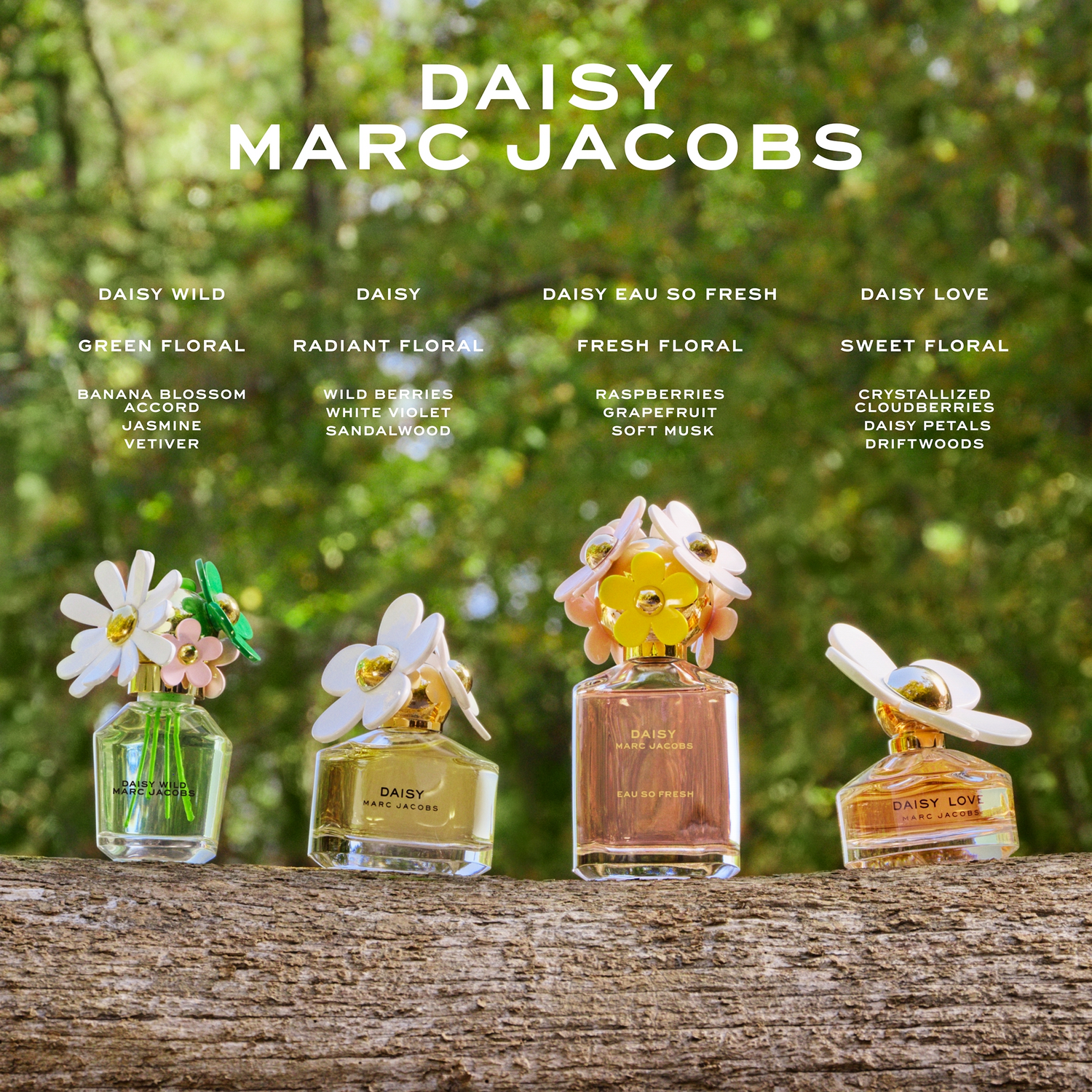 Marc Jacobs Daisy Wild Eau de Parfum (EdP) refillable