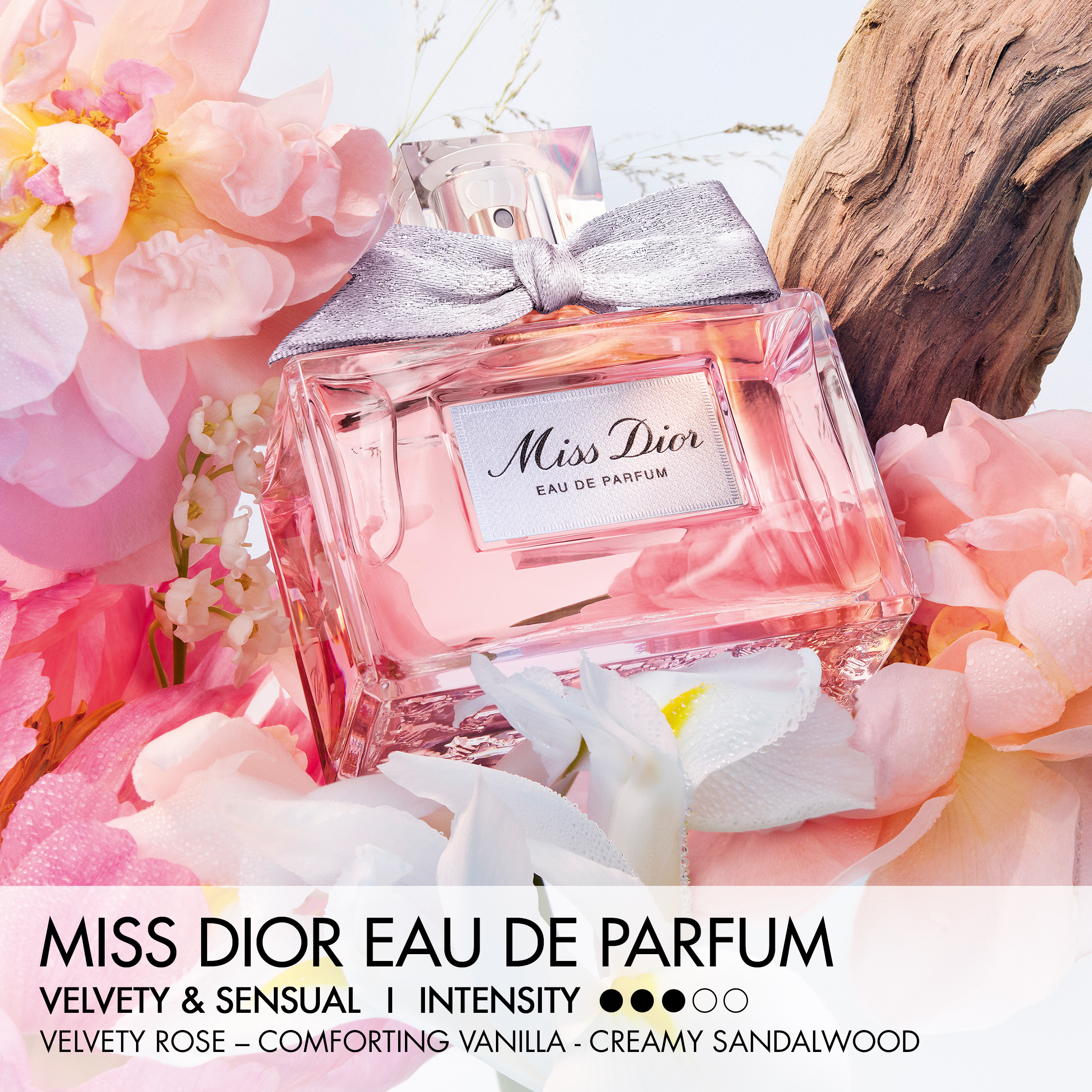 DIOR MISS DIOR Eau de Parfum (EdP)