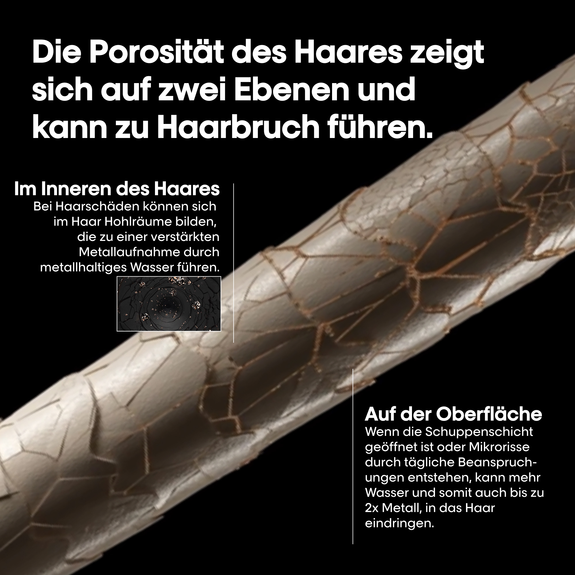 L'Oreal Professionnel Expert Metal DX Pre-Shampoo