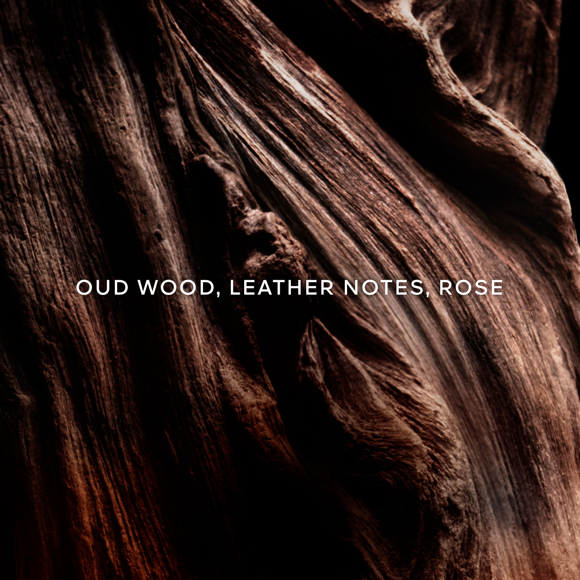 Guerlain Absolus Allegoria Oud Essentiel Eau de Parfum (EdP)