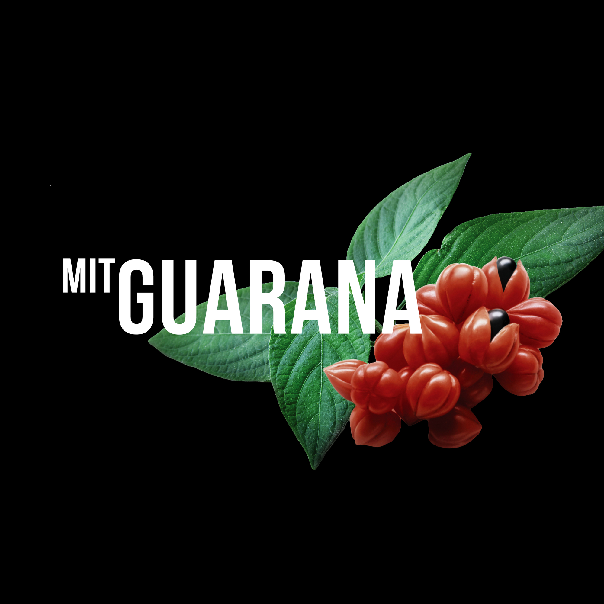 Sebastian Professional SEB MAN The Fixer Mattes Fixierspray mit starkem Halt