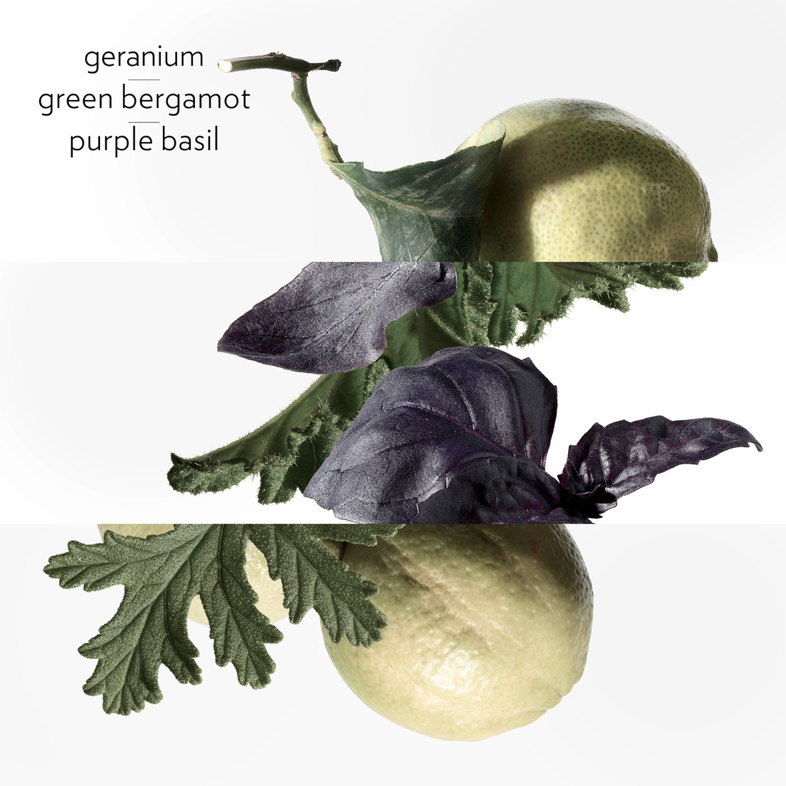 HERMÈS EAU DE BASILIC POURPRE EAU DE COLOGNE