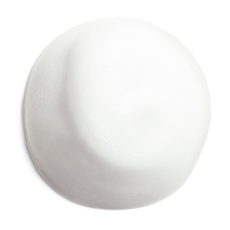 Shiseido Complete Cleansing Microfoam